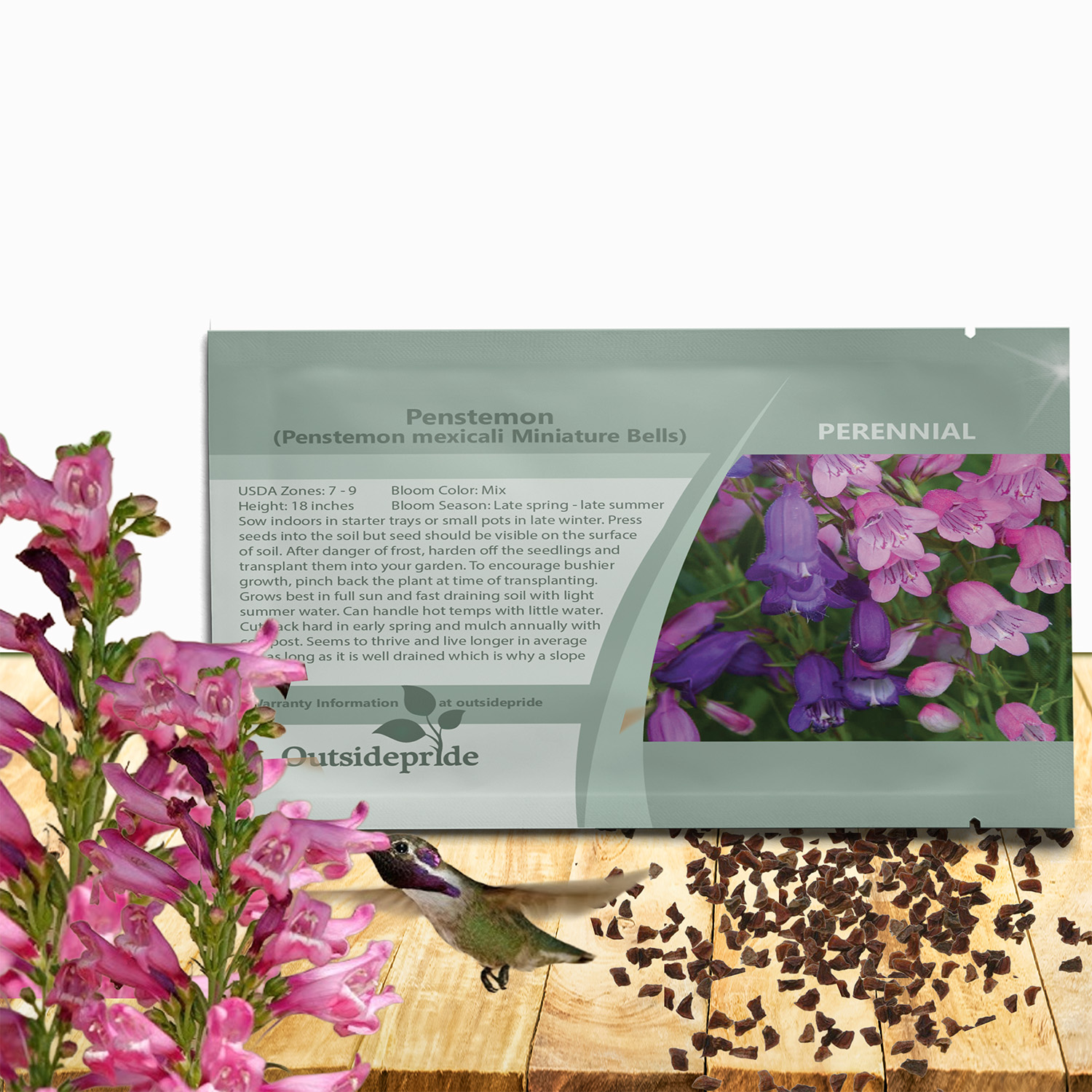 Penstemon Miniature Bells Seed Packet
