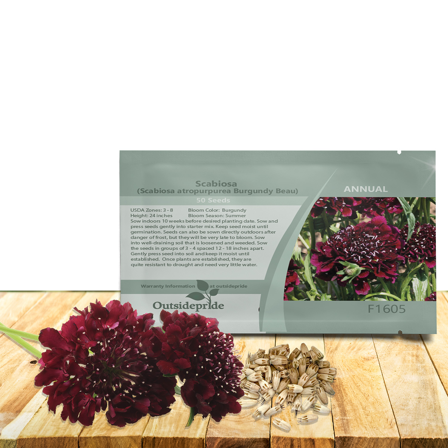 Scabiosa Pincushion Burgundy Beau Seed Packet