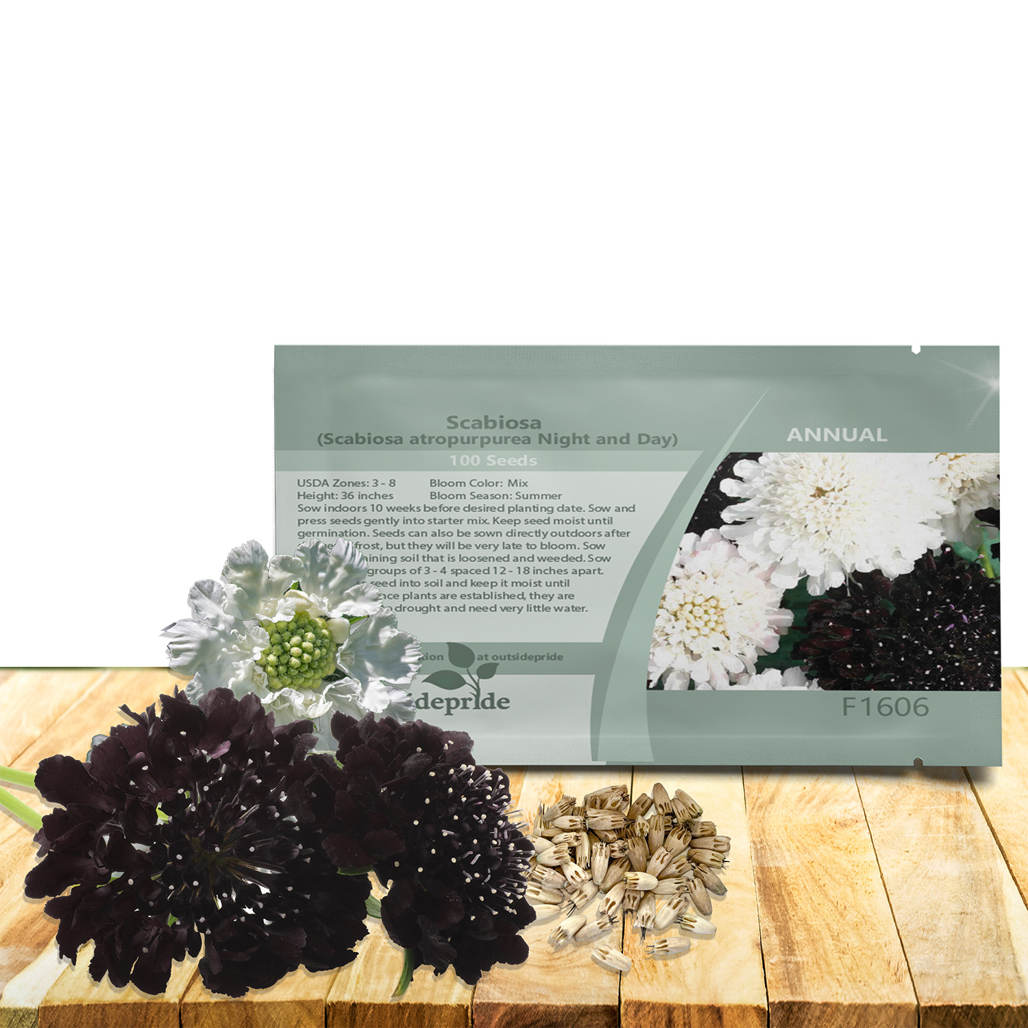 Scabiosa Night and Day Seed Packet