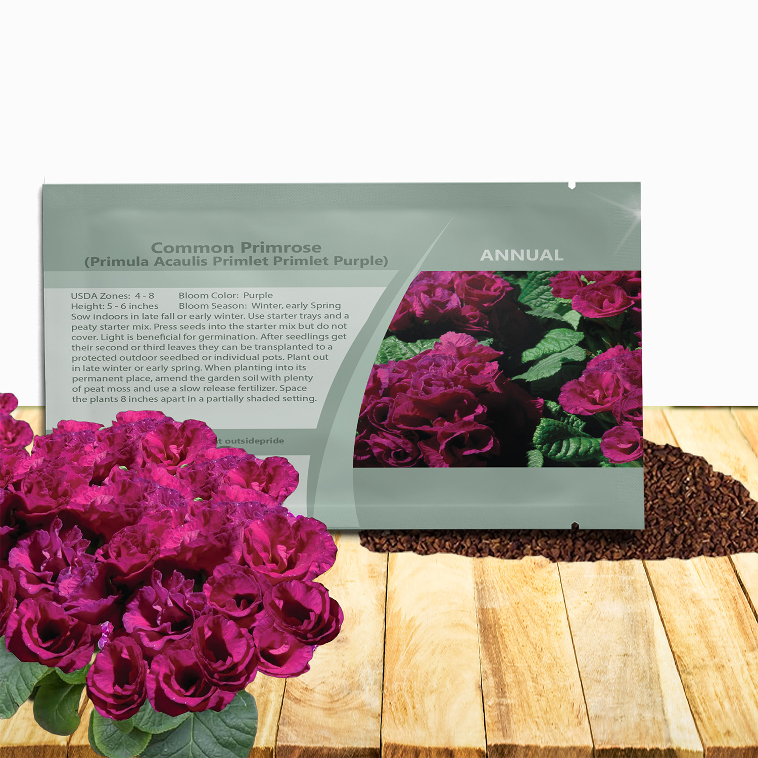 Common Primrose Primlet Purple Seed Packet