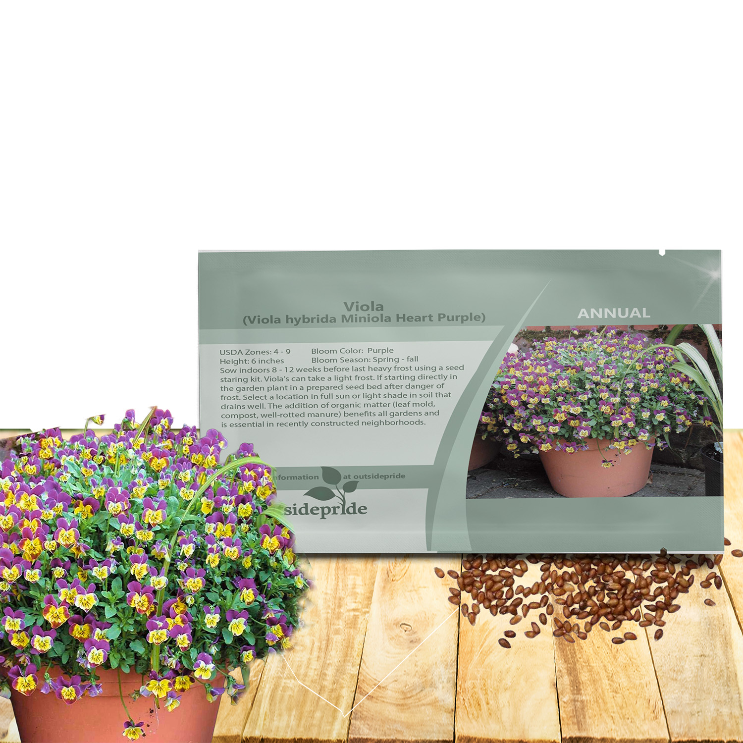 Viola Miniola Heart Purple Seeds For Planting