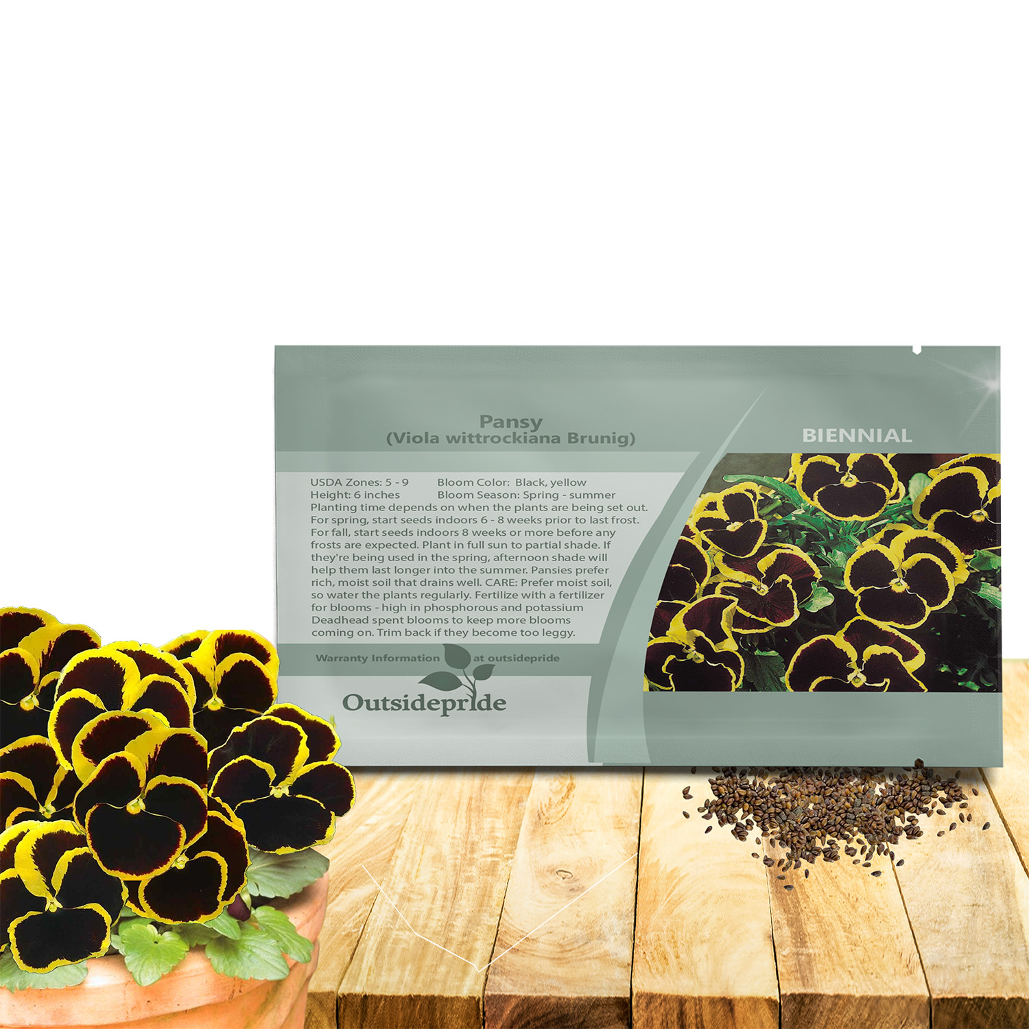 Viola Brunig Flower Seeds For Planting