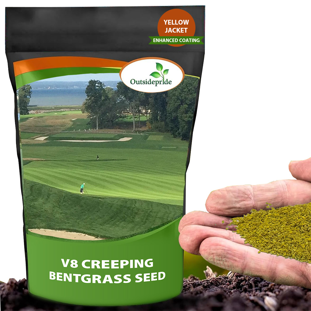 V8 Bent Grass Seed Bag