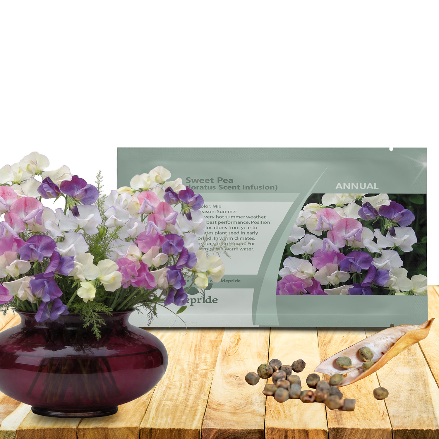 Sweet Pea Scent Infusion Seed Packet