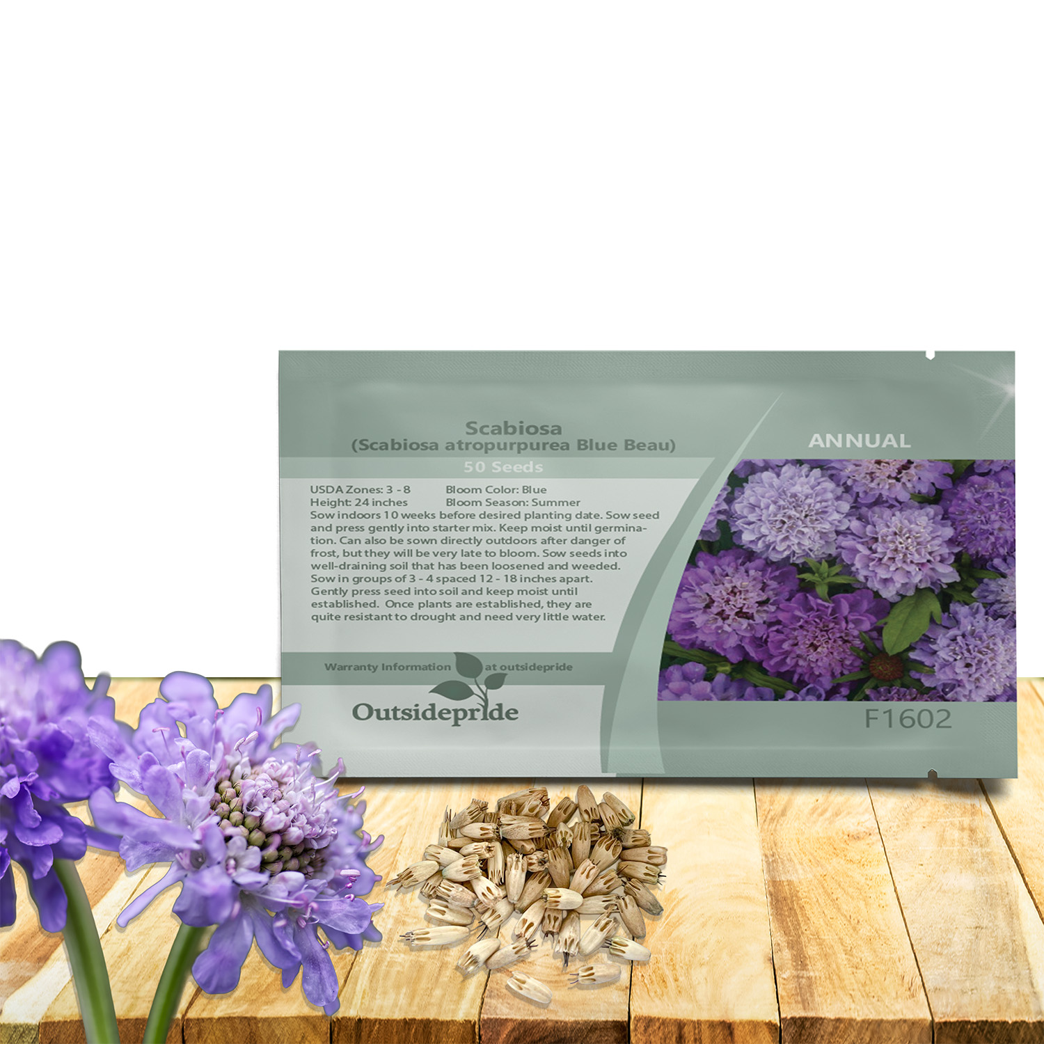 Scabiosa Pincushion Blue Beau Seed Packet