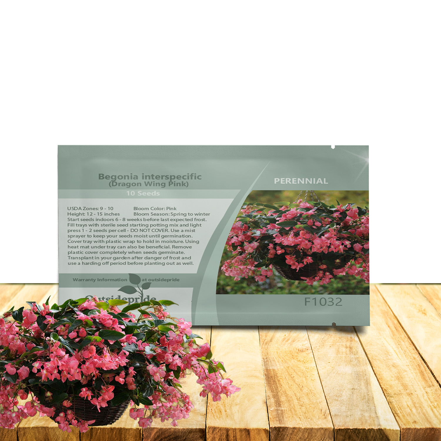 Begonia Pink Seed Packet