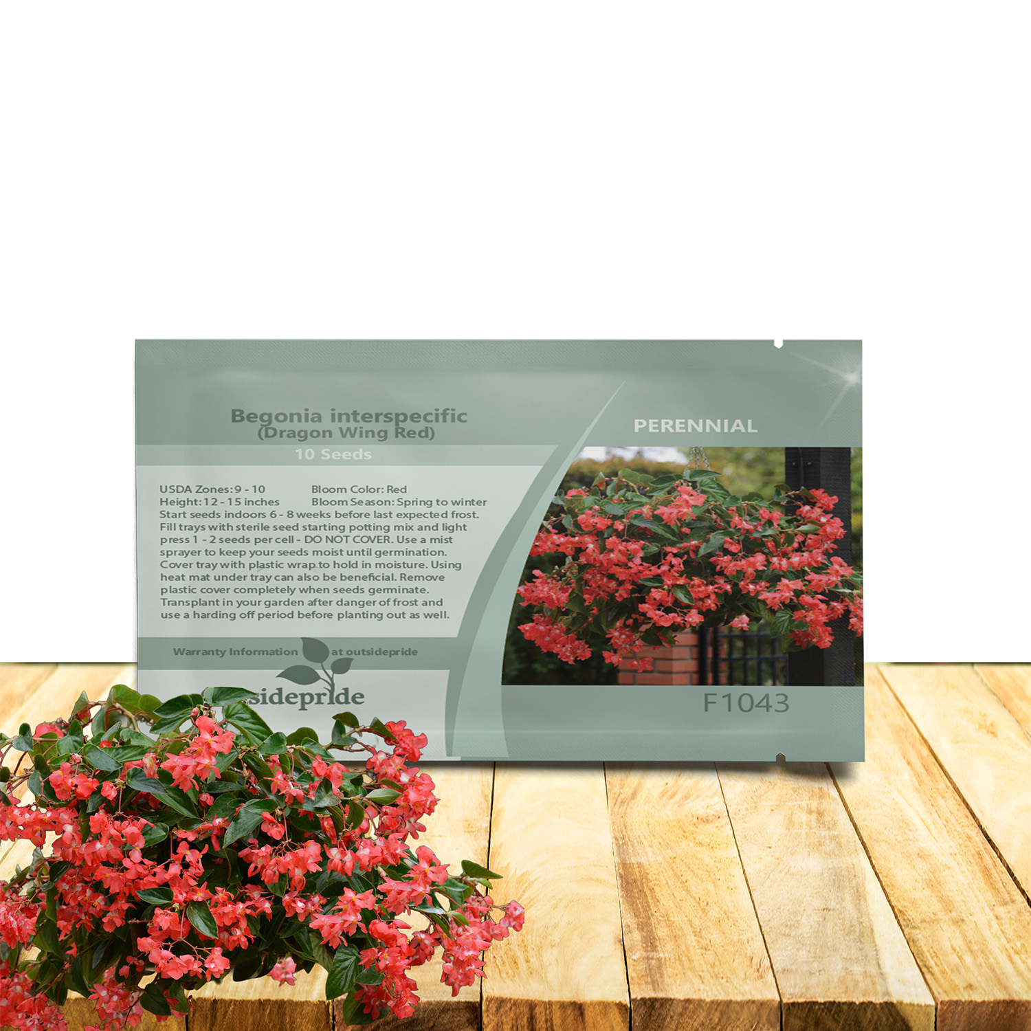 Begonia Red Seed Packet