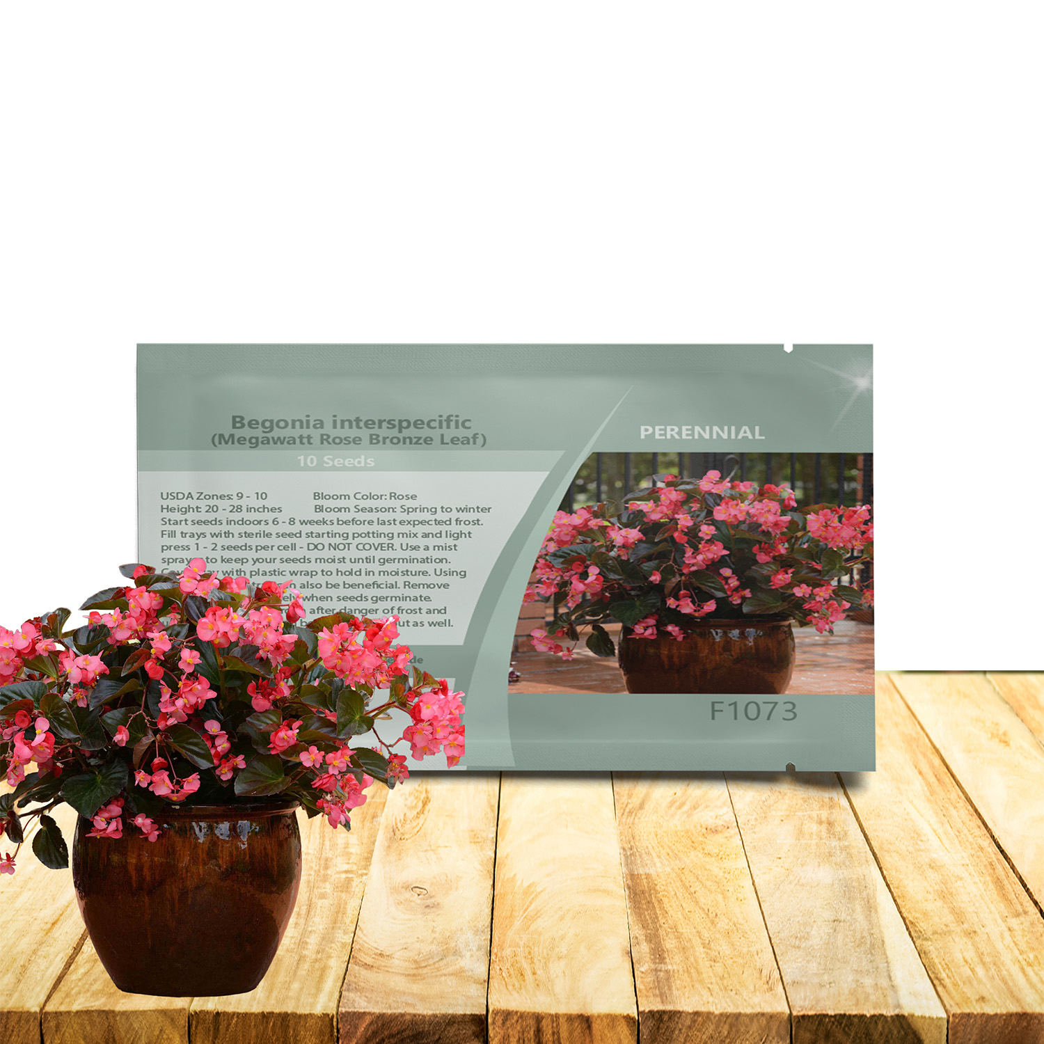 Begonia Megawatt Rose Seed Packet