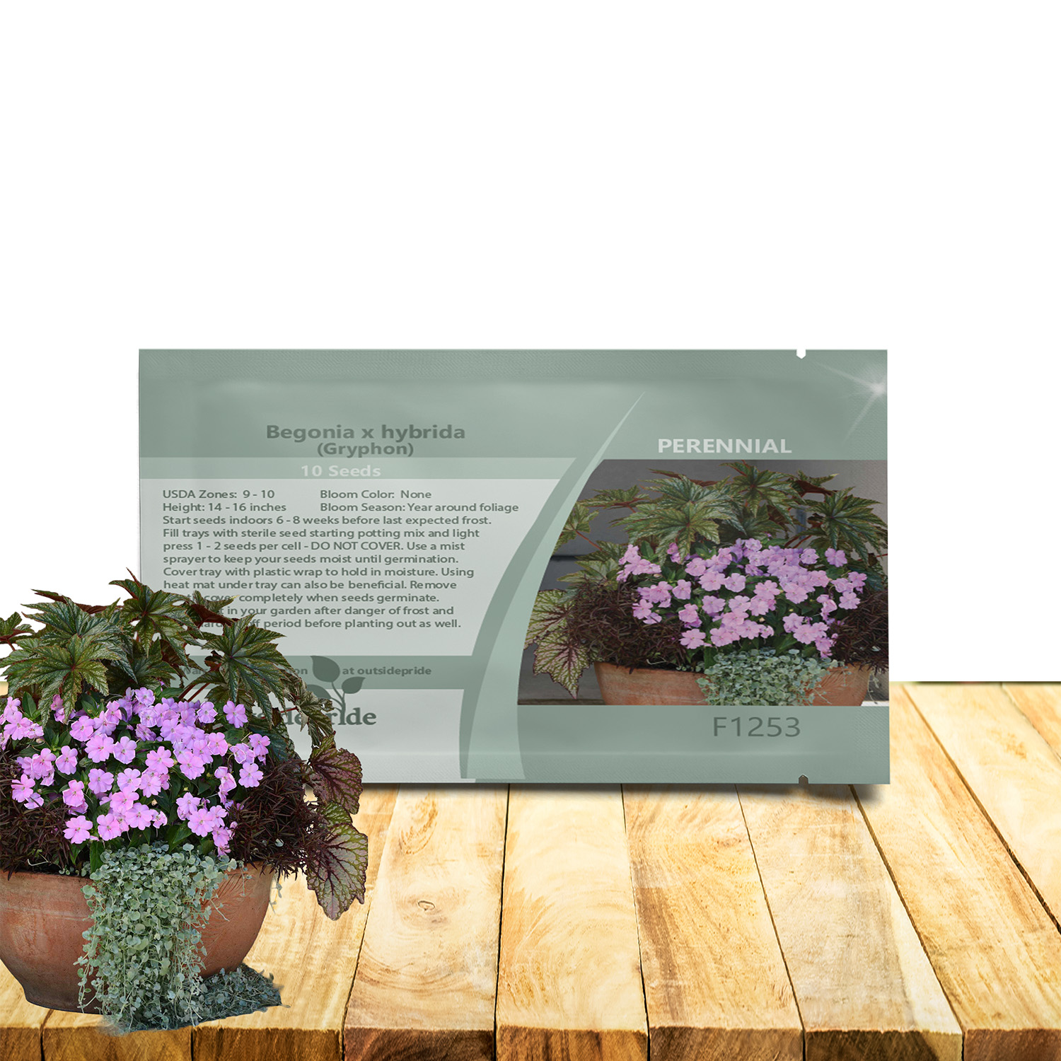 Begonia Gryphon Seed Packet