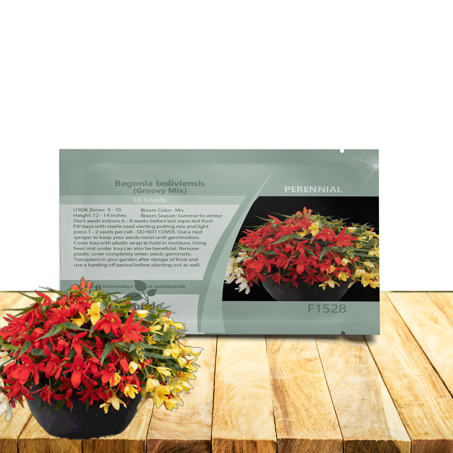Begonia Groovy Flower Seed Mix Packet