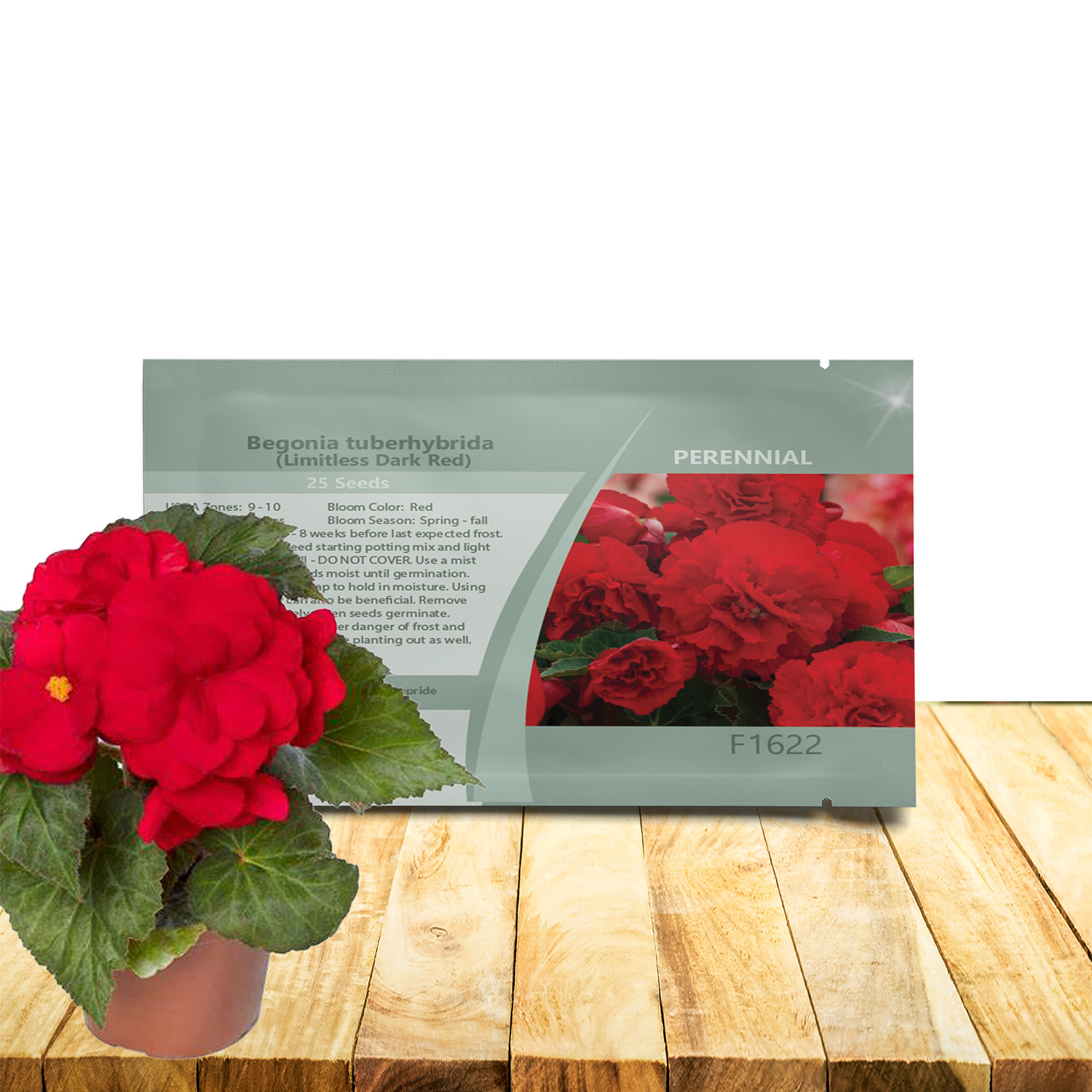 Begonia Limitless Dark Red Seed Packet