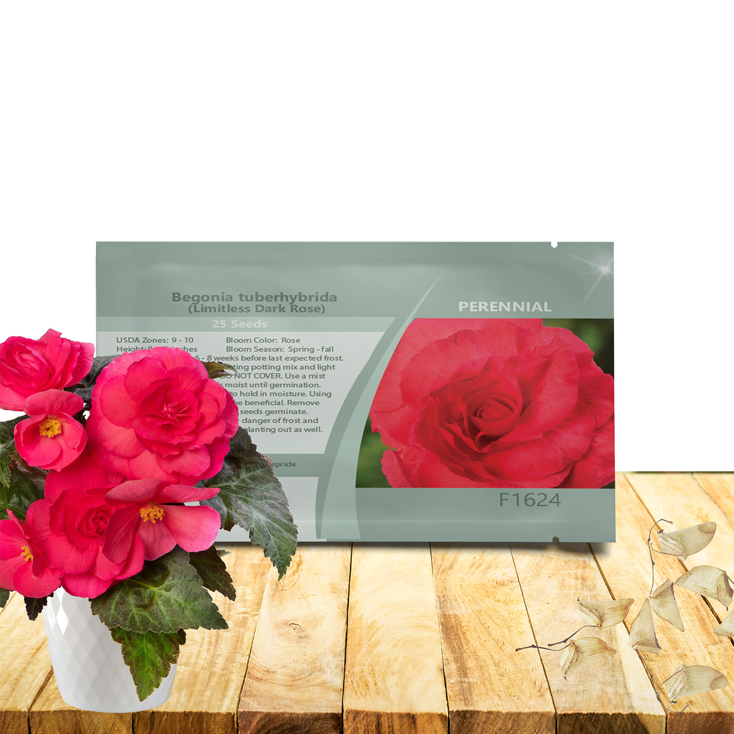 Begonia Limitless Dark Rose Seed Packet