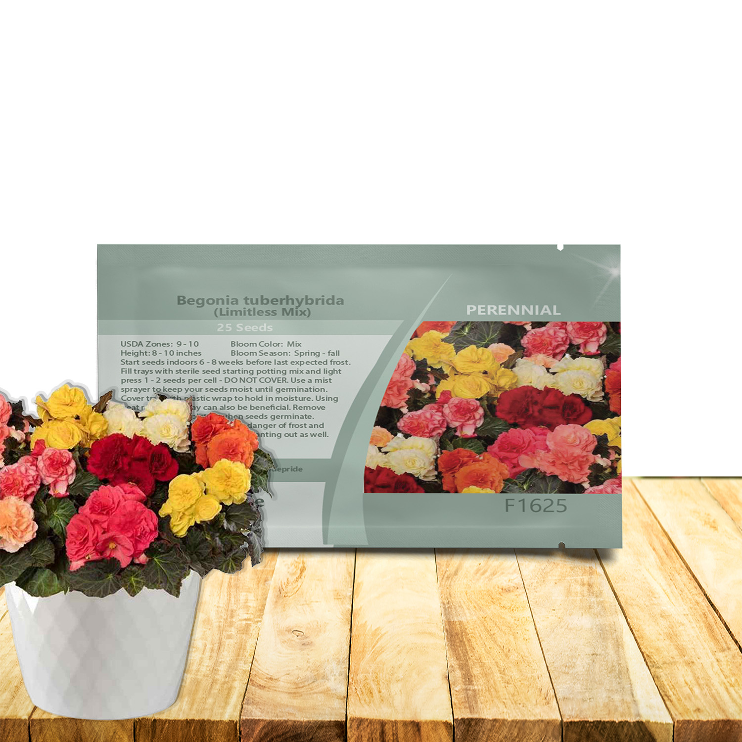 Begonia Limitless Seed Packet Mix