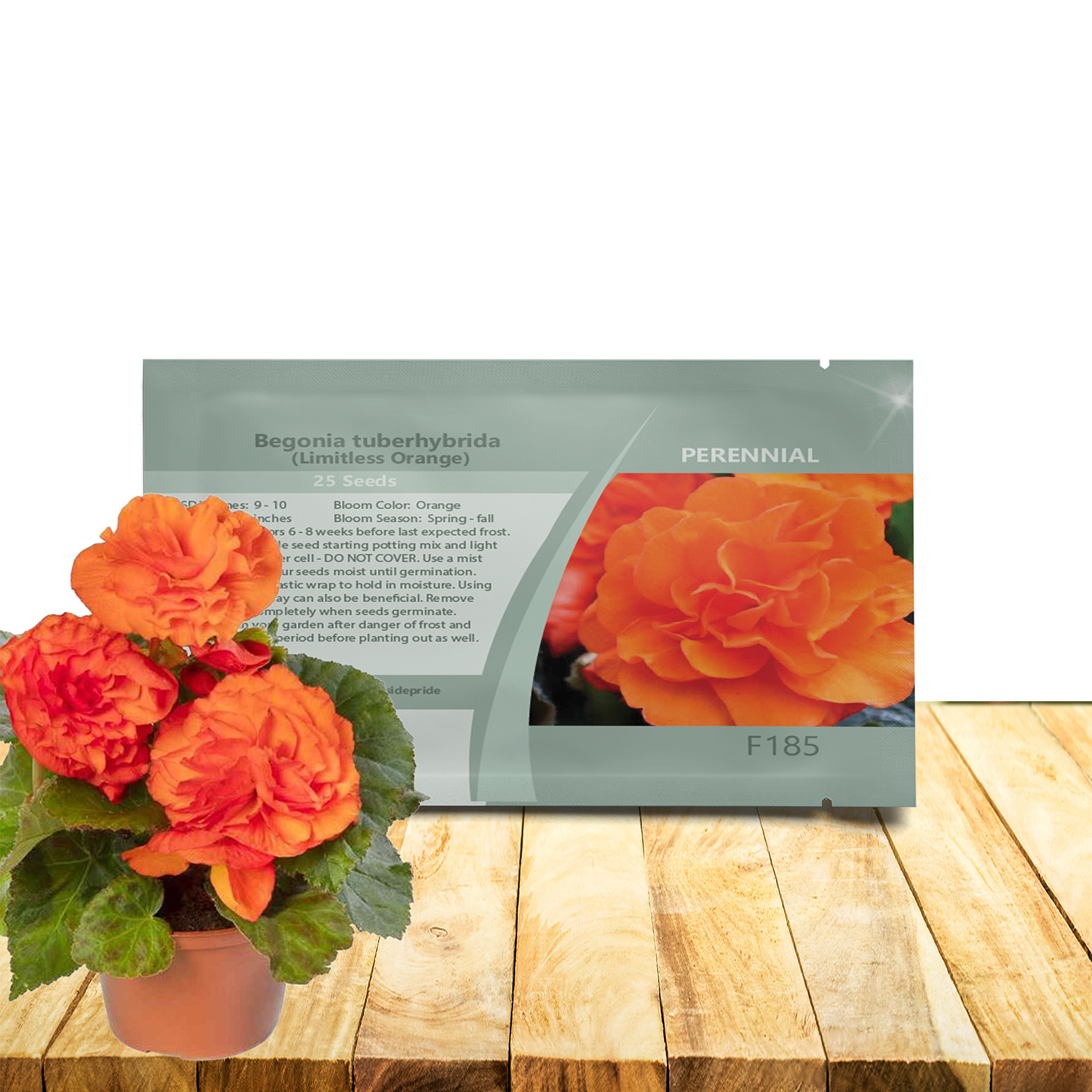 Begonia Limitless Orange Seed Packet