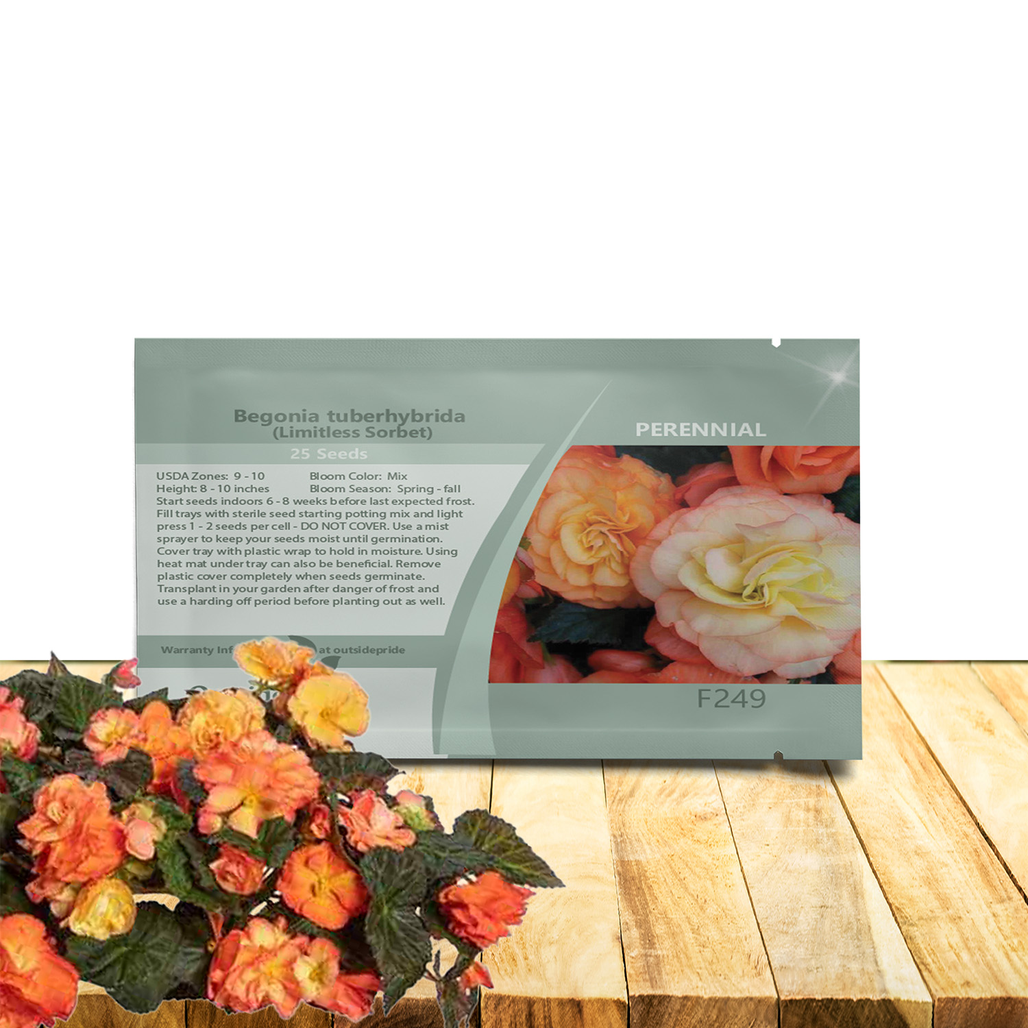 Begonia Limitless Sorbet Seed Packet