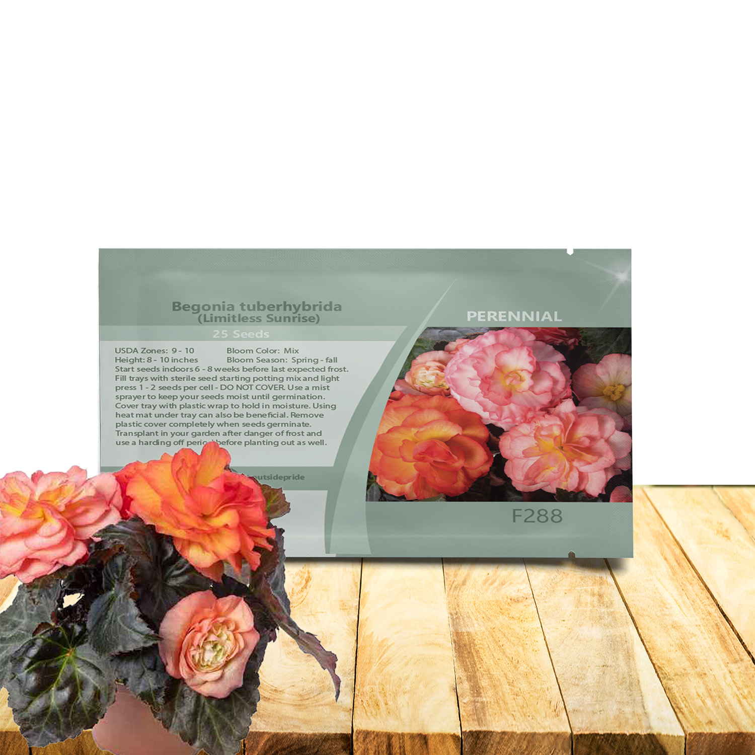 Begonia Limitless Sunrise Seed Packet
