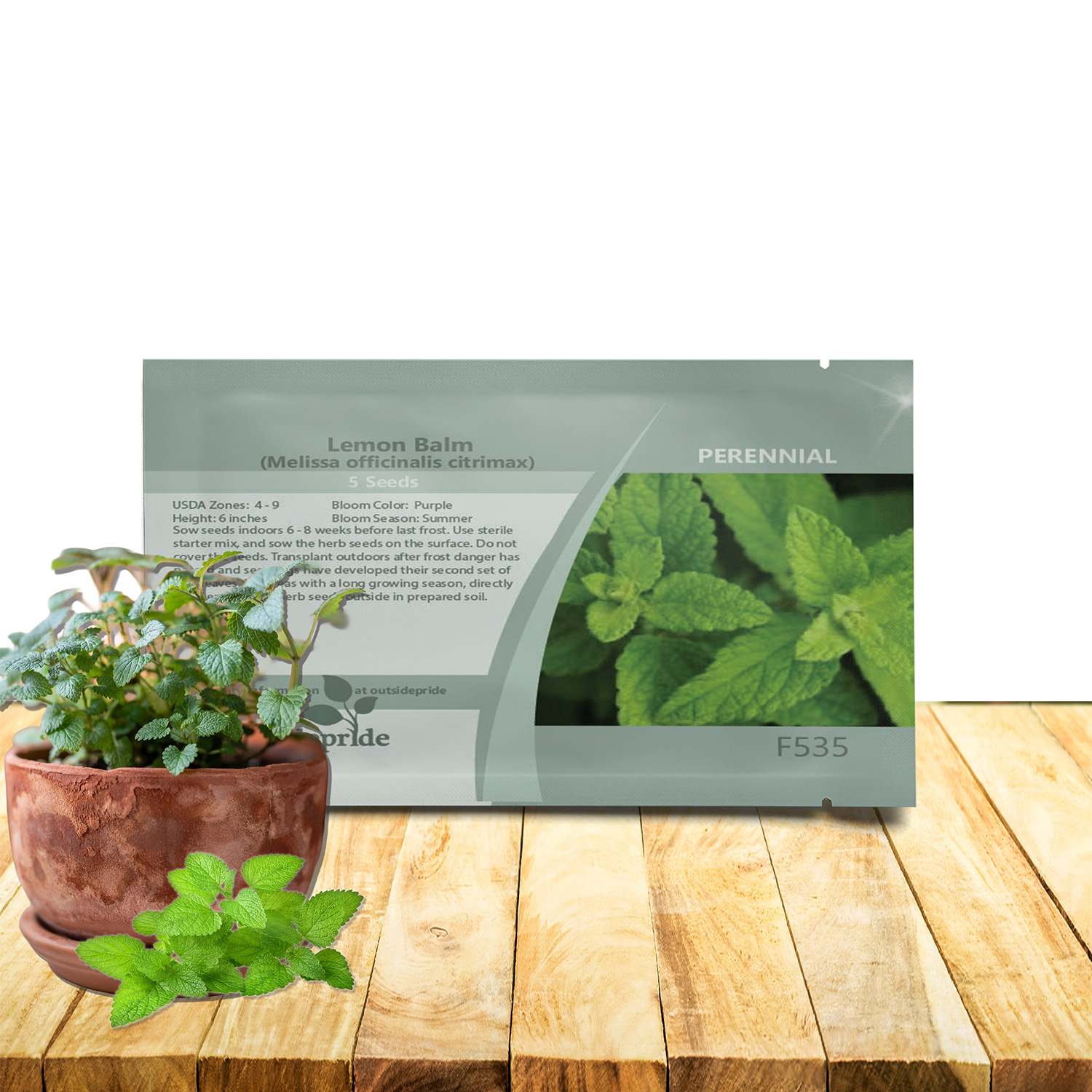 Dwarf Lemon Balm Herb Seed Packet