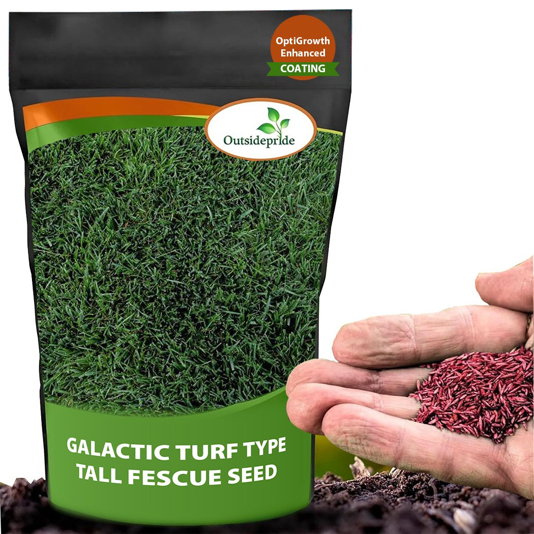 Galactic Turf Type Fescue Seed Bag