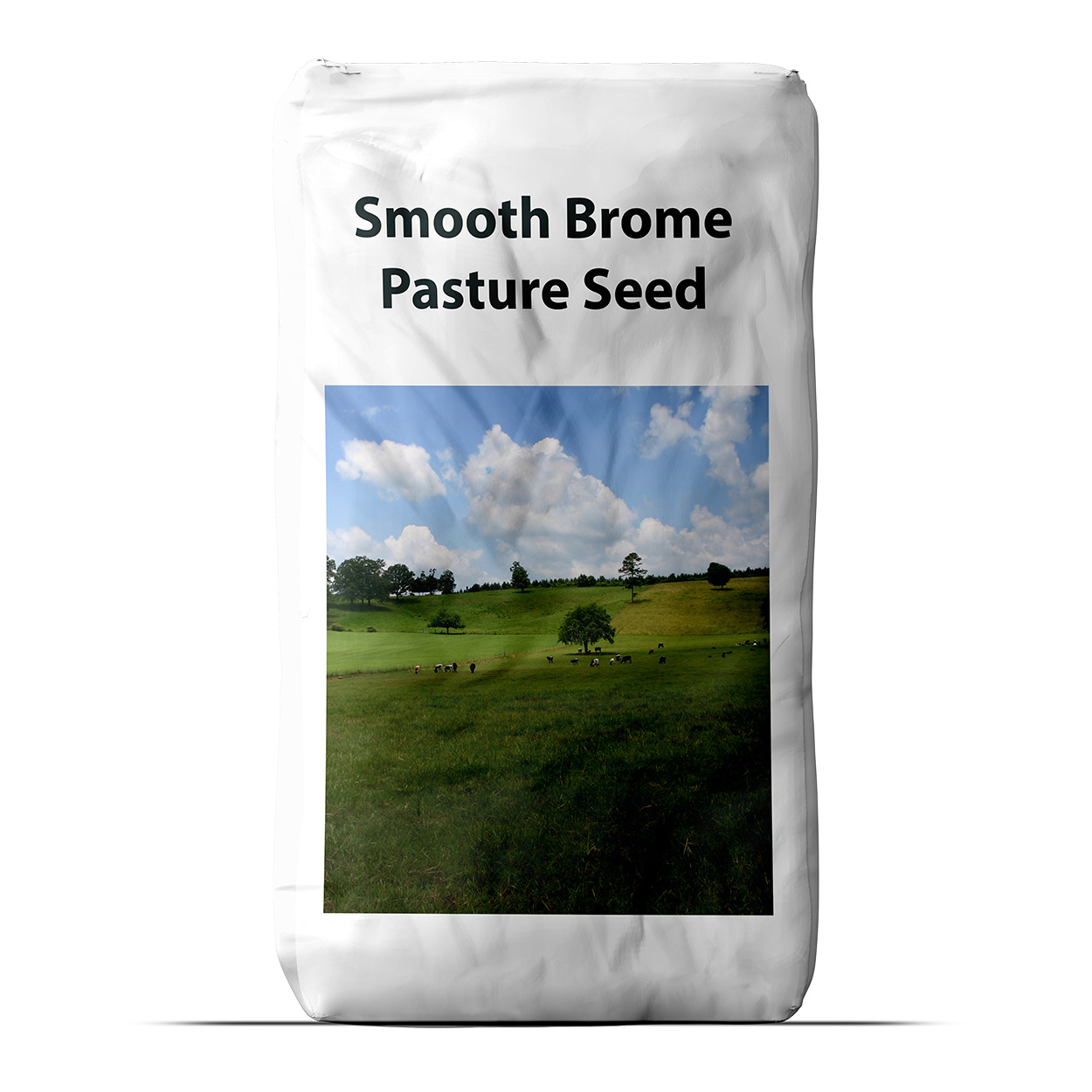 Smooth Brome Forage Grass Bulk Seed Bag