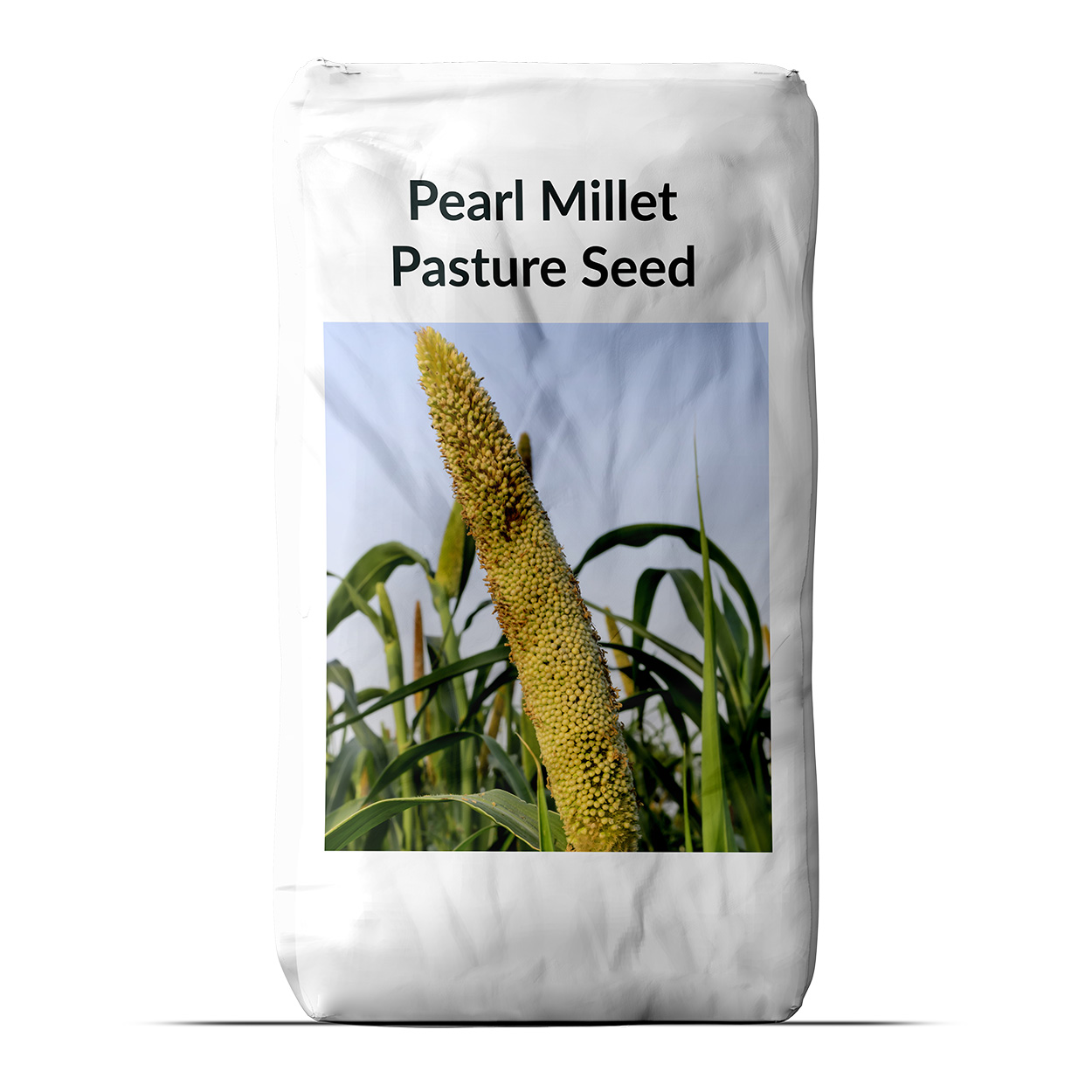Pearl Millet Bulk Seed Bag For Planting