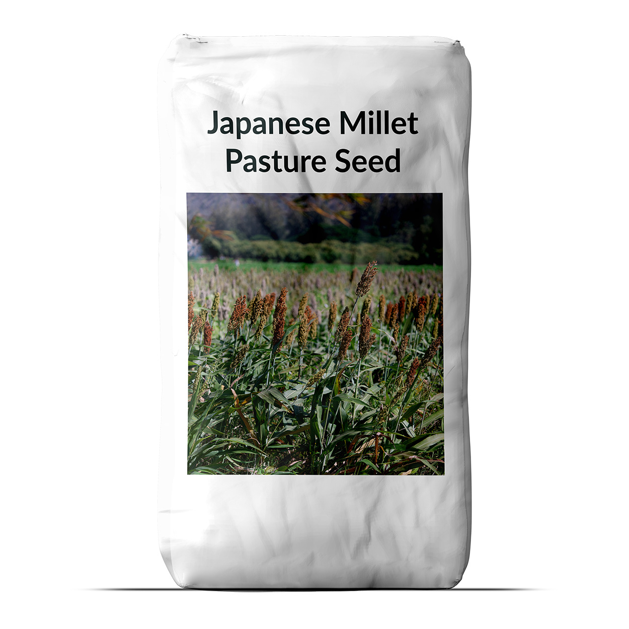Japanese Millet Bulk Seed Bag For Planting