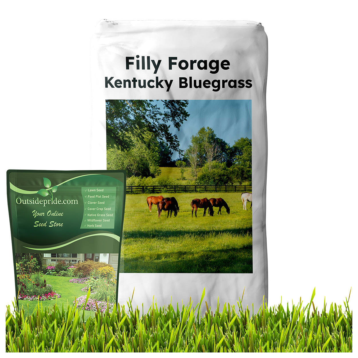 Filly Forage Bluegrass Seed Bag