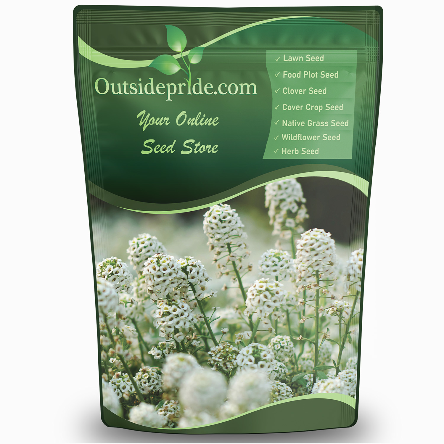 Sweet Alyssum Wildflowers Seeds For Planting