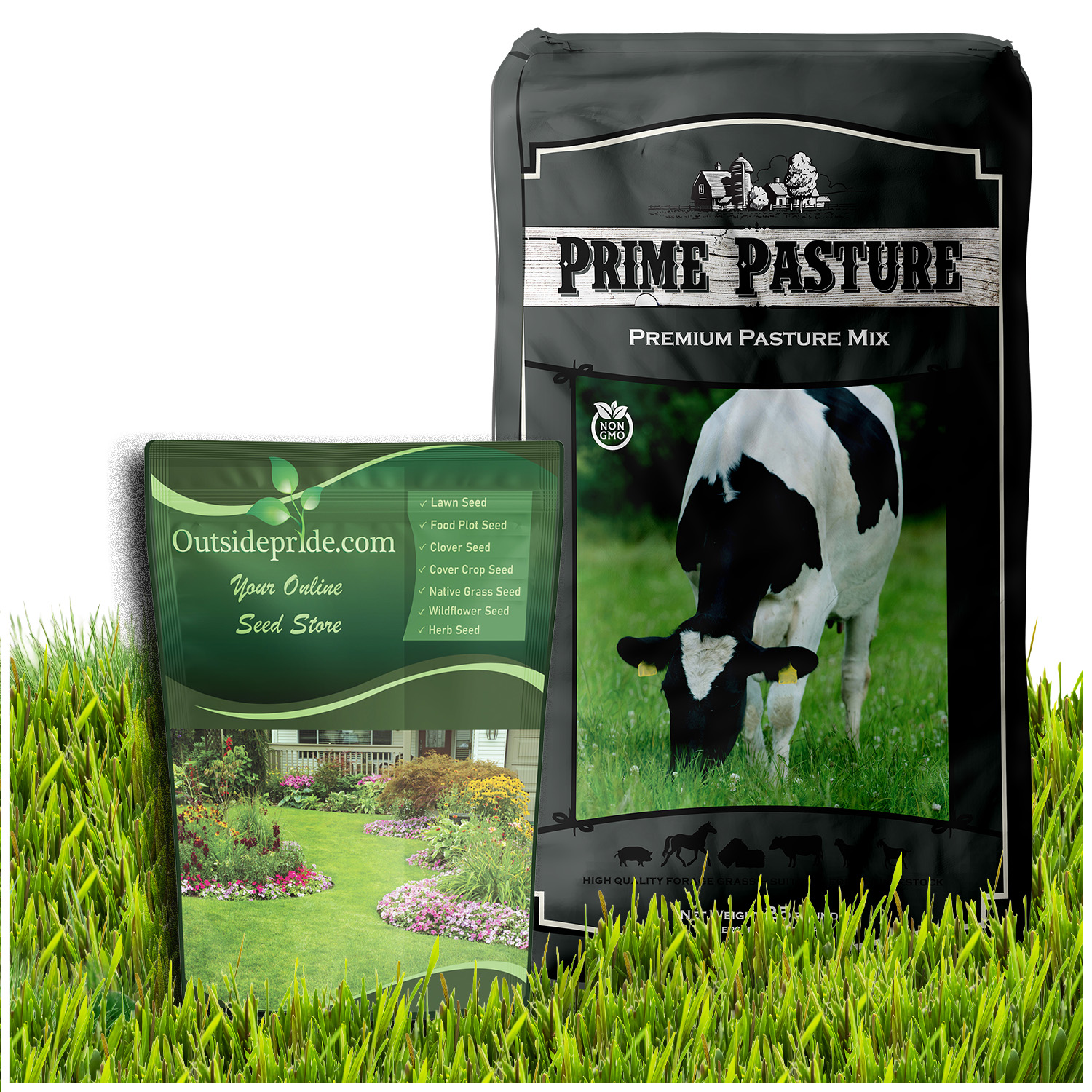 Bulk Annual Ryegrass Forage Seed Bag