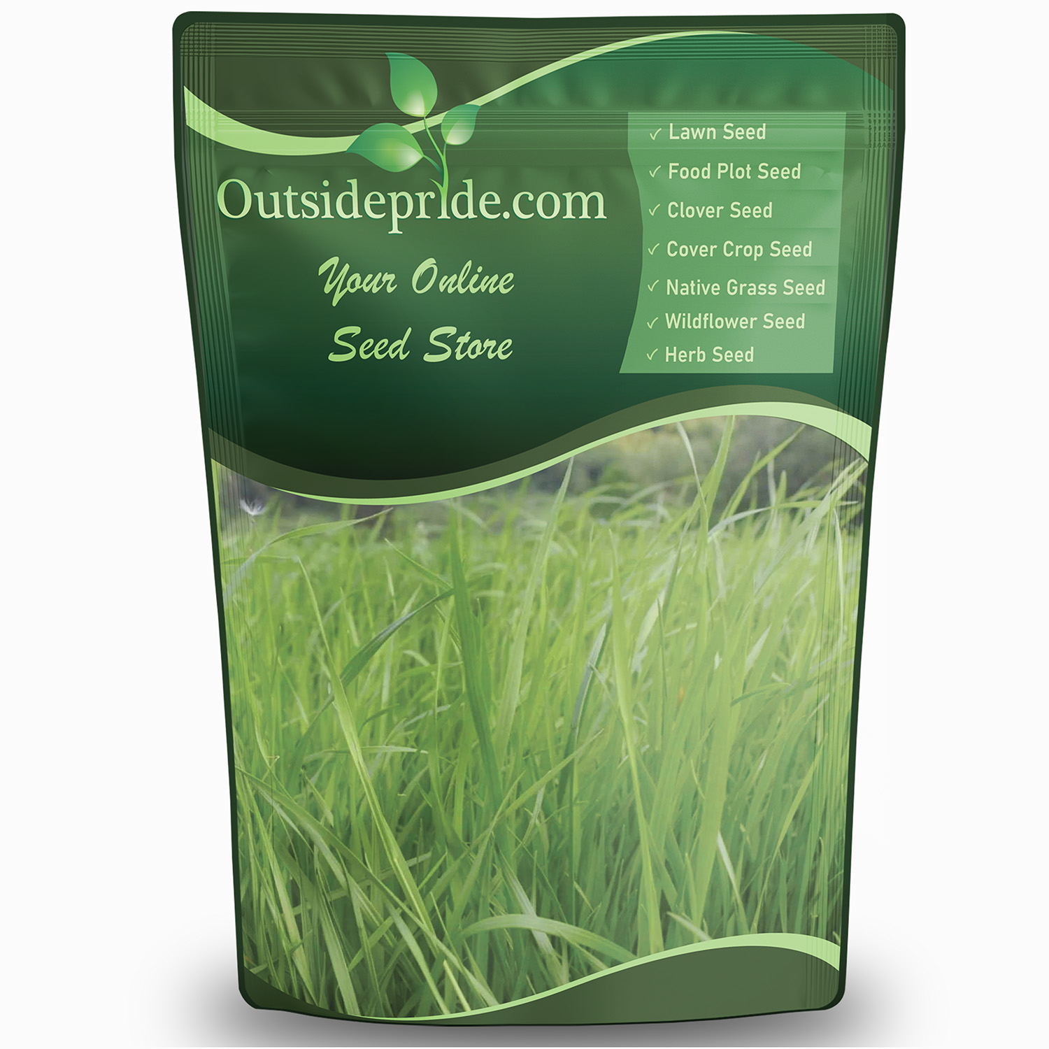 Bulk Annual Ryegrass 5 lb Bag