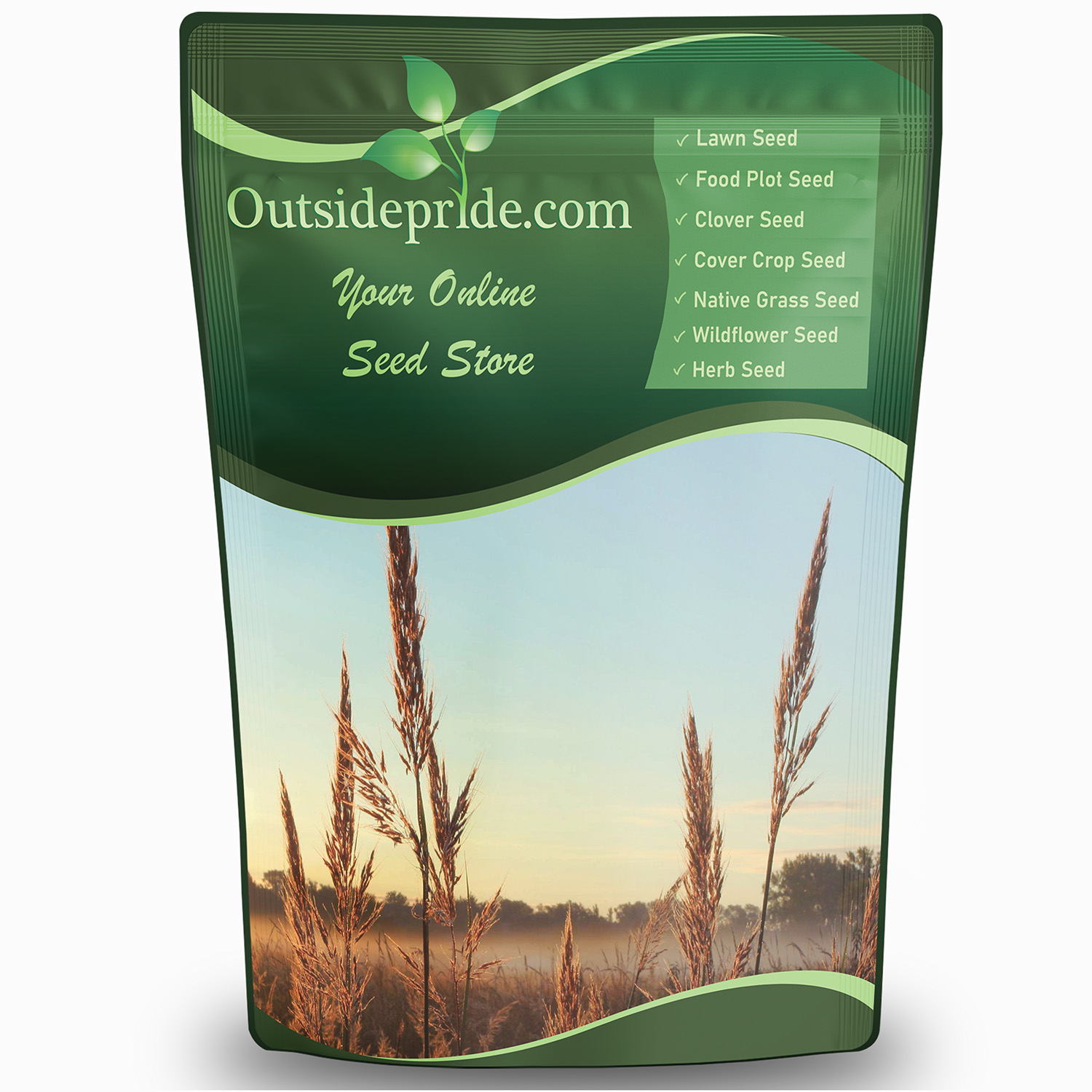Big Bluestem Native Grass Bulk Seed