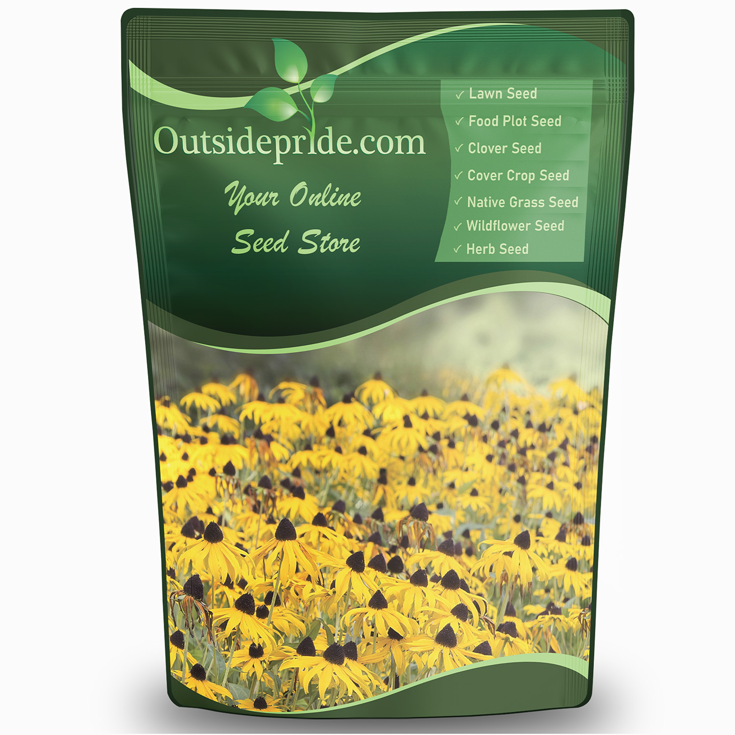 Black-Eyed Susan Flowers