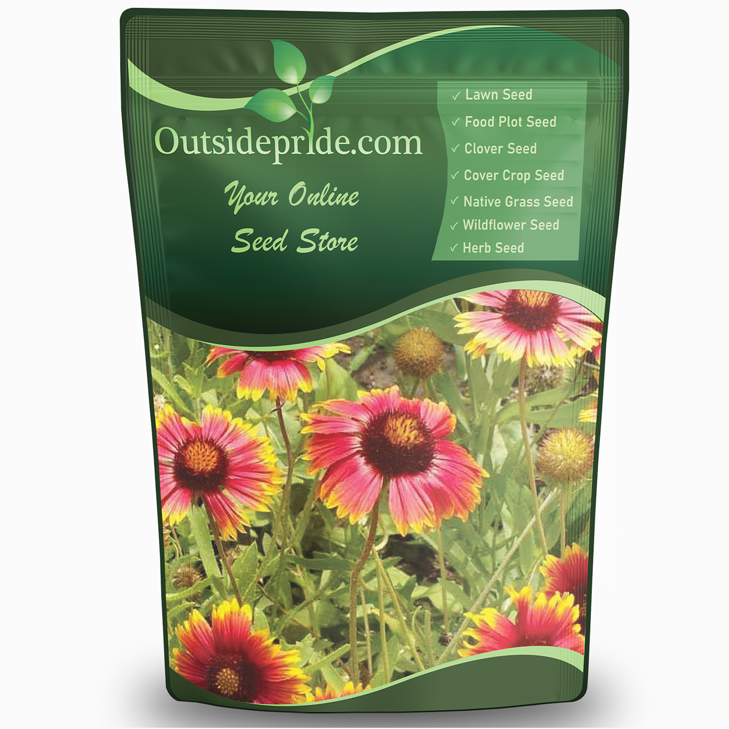 Gaillardia Wildflower Seed