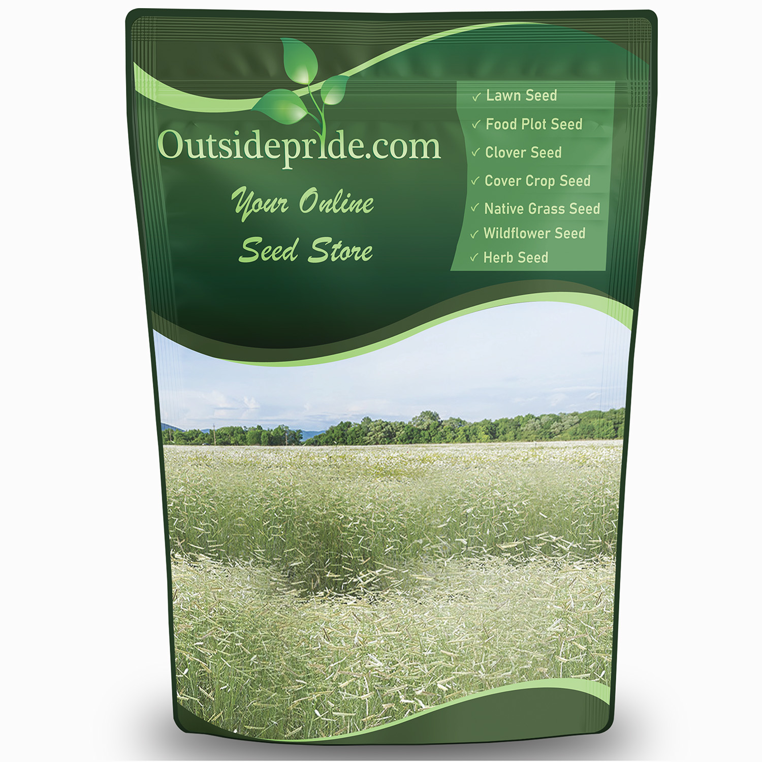 Blue Grama Pasture Grass Bulk Seed