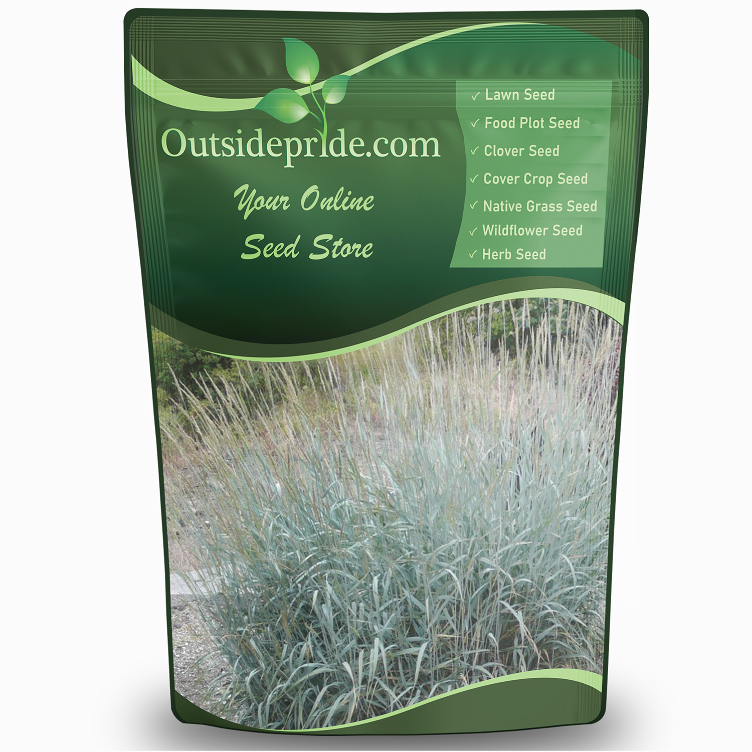 Blue Wildrye Bulk Grass Seeds