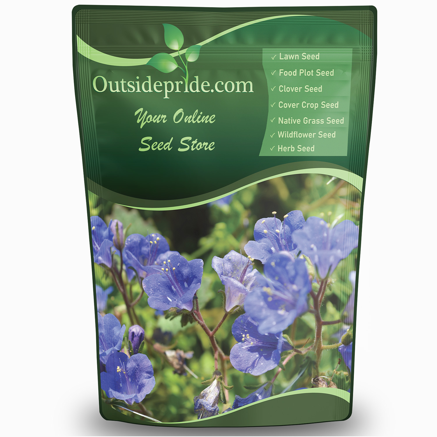 California Bluebell Meadow