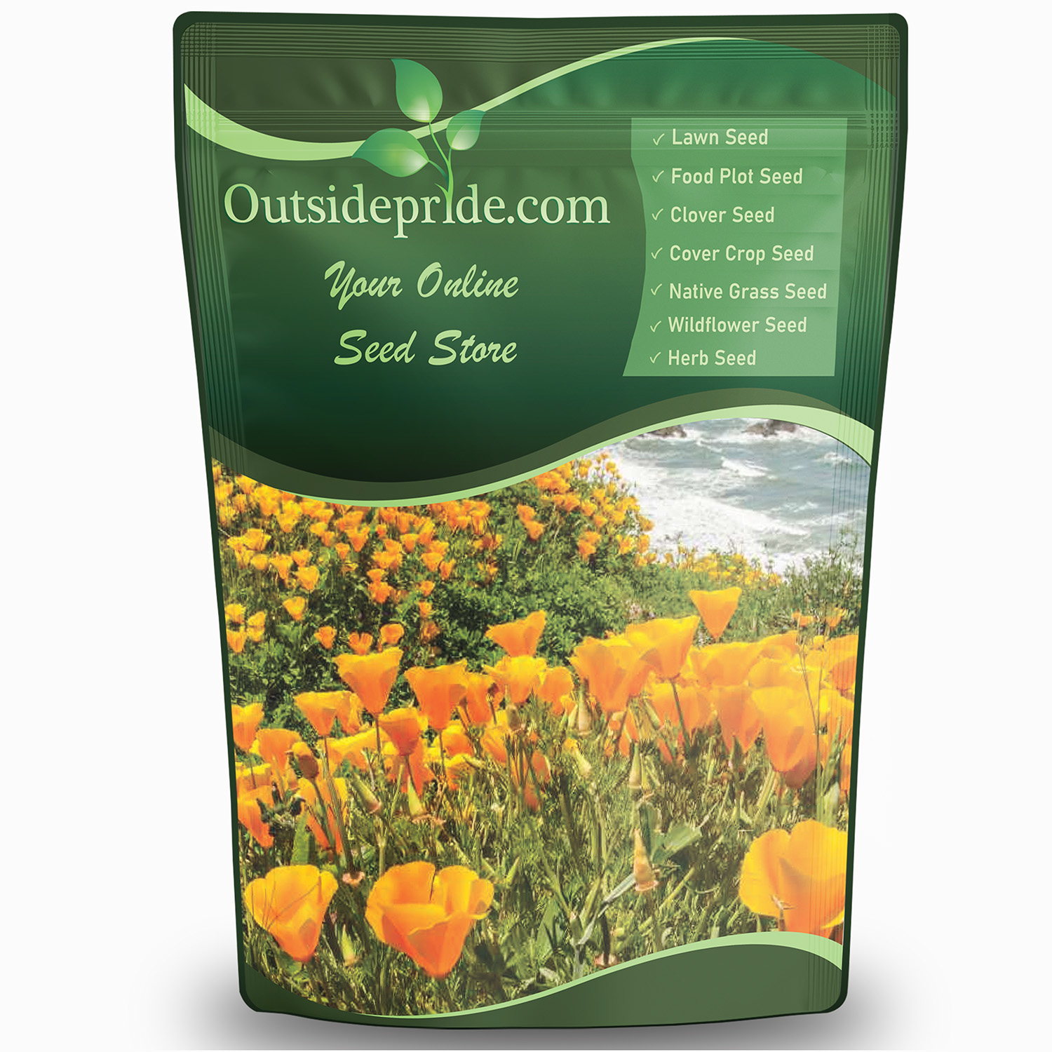 California Poppy Oceanside