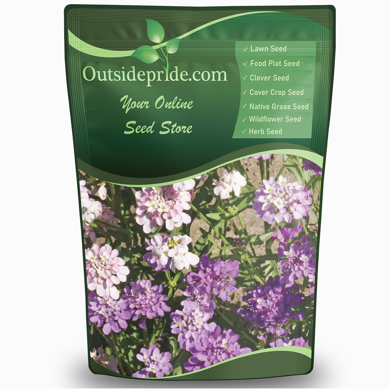 Candytuft Wild Flower Seed