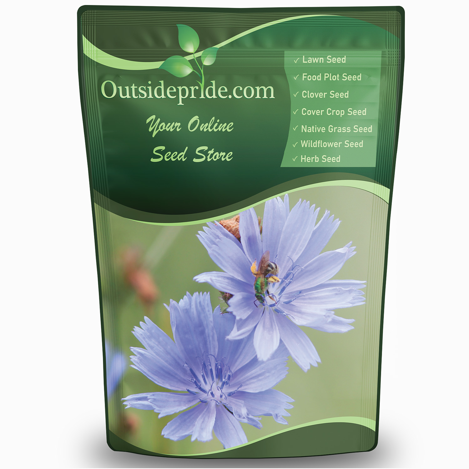 Chicory Seed Bag For Planting