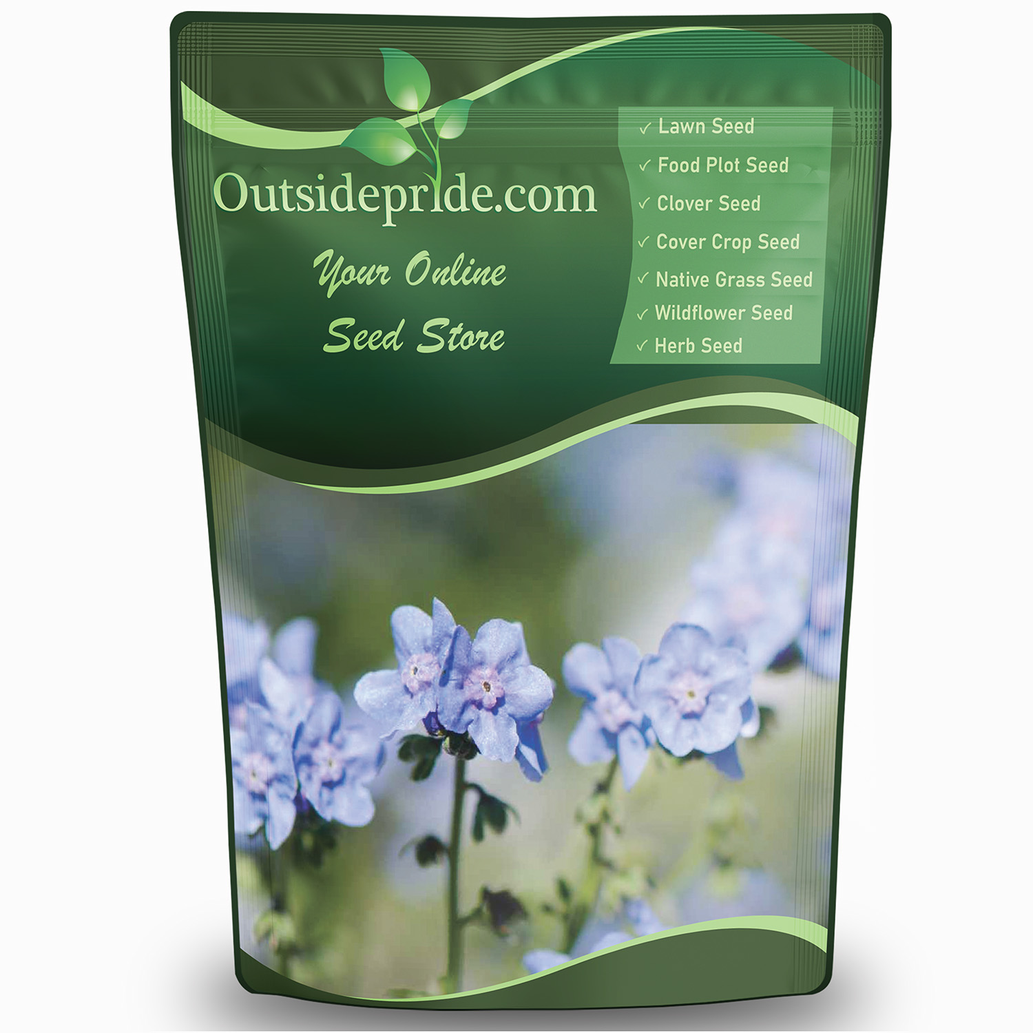 Chinese Forget-Me-Nots