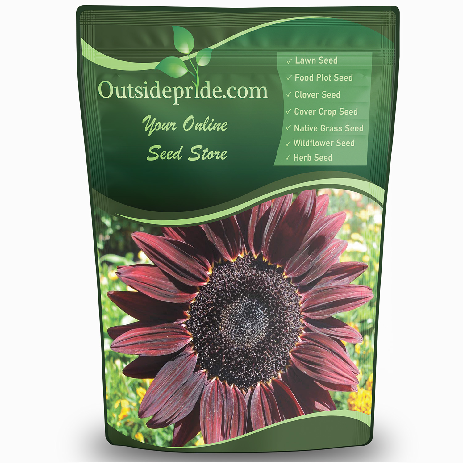Helianthus Annuus Chocolate Cherry