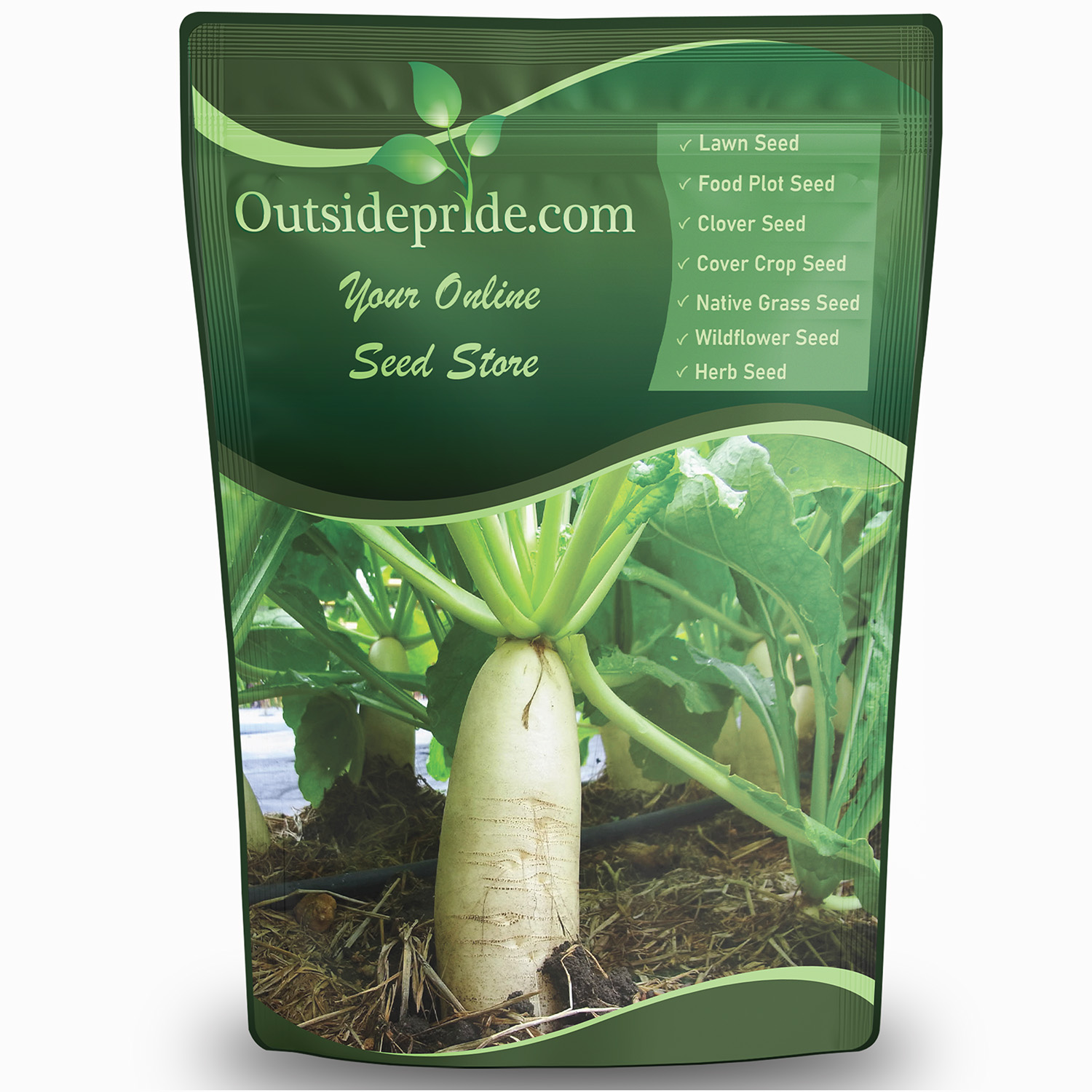Daikon Radish Bulk Seed Forming Roots