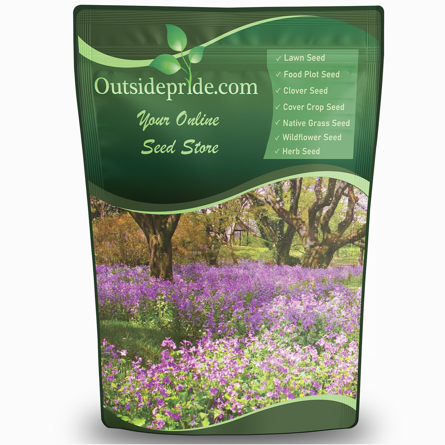 マダムダックス Dame's Rocket Seeds - Hesperis Matronalis Wildflower Seed