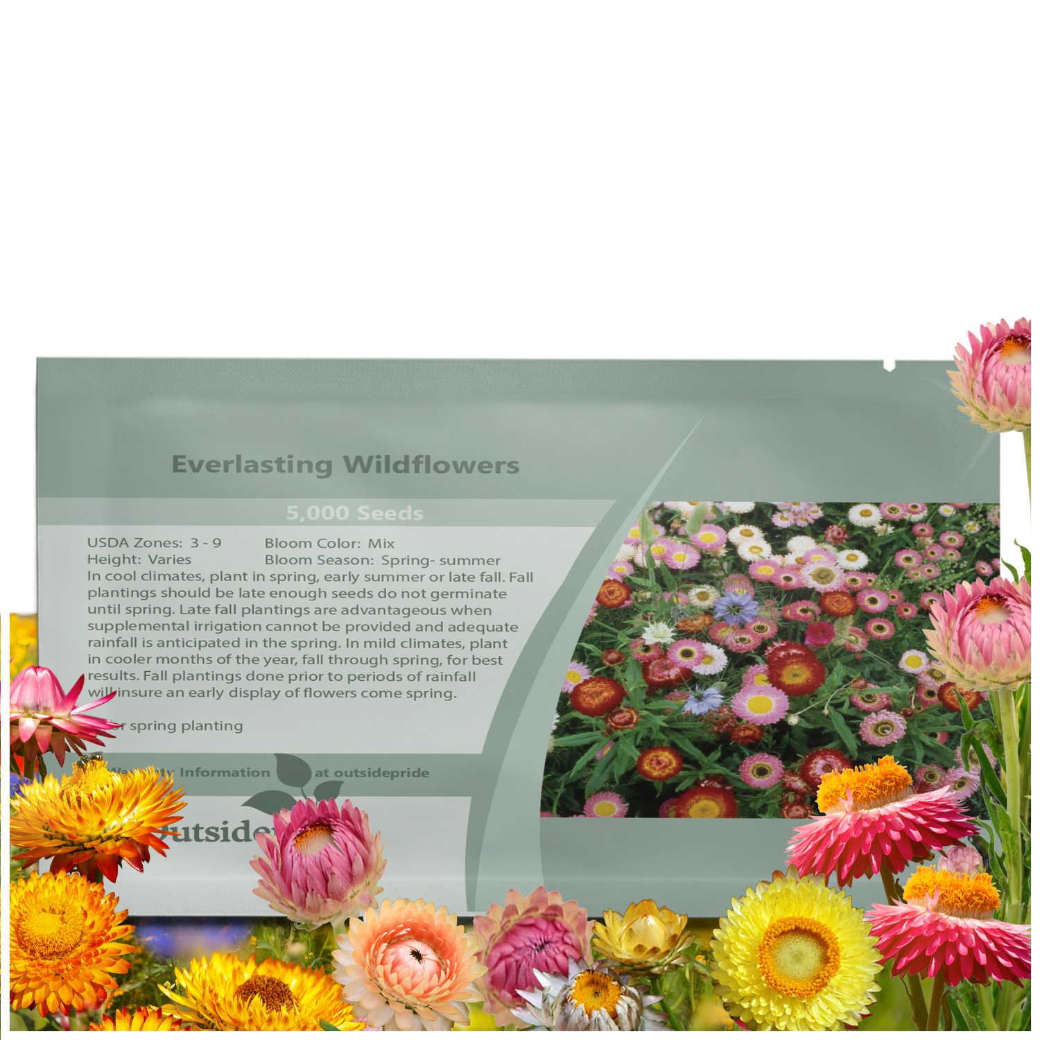 Everlasting Floral Arrangements
