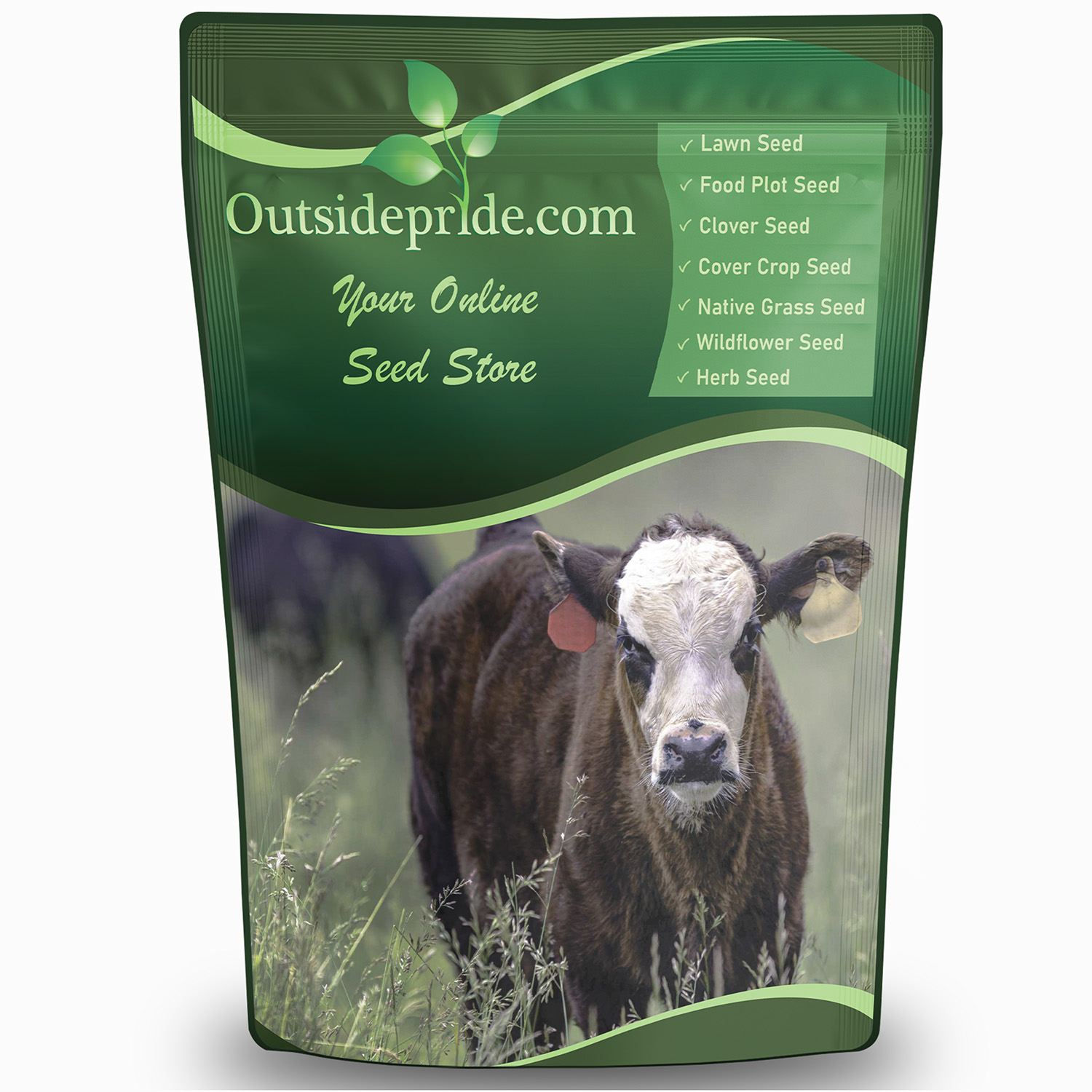 Forage Fescue Pasture Grass