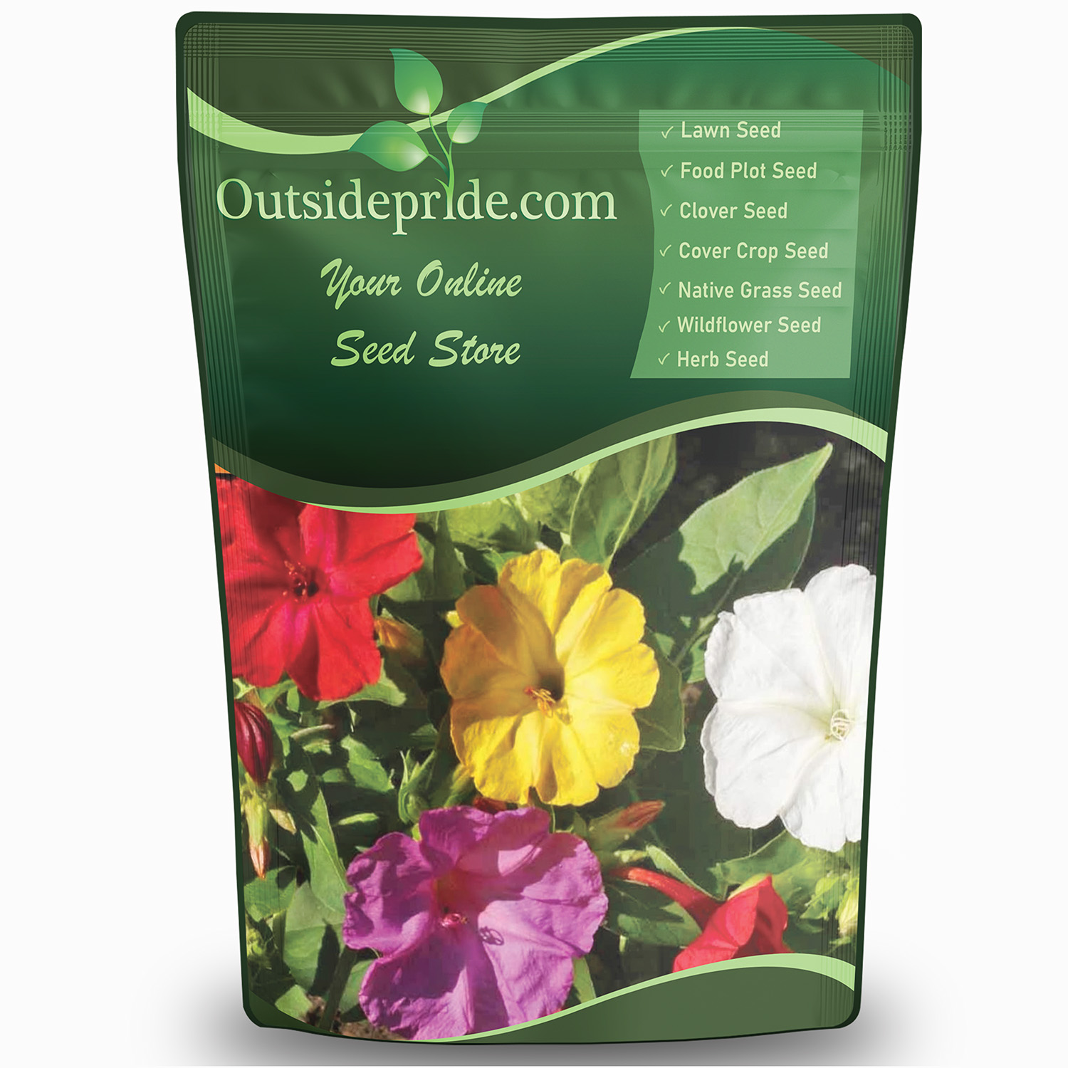 Mirabilis Jalapa Flower Seed