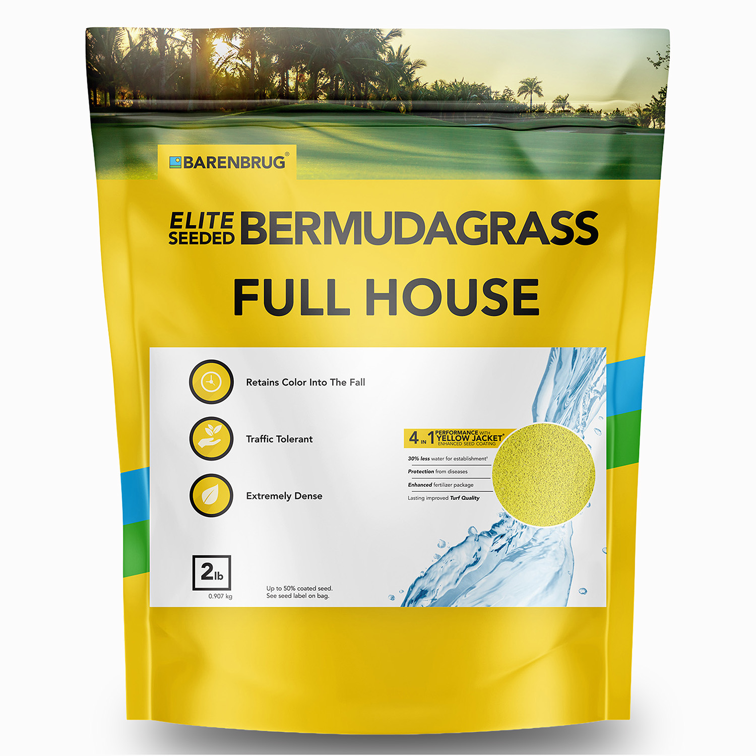 Full House Bermuda Grass Lawn