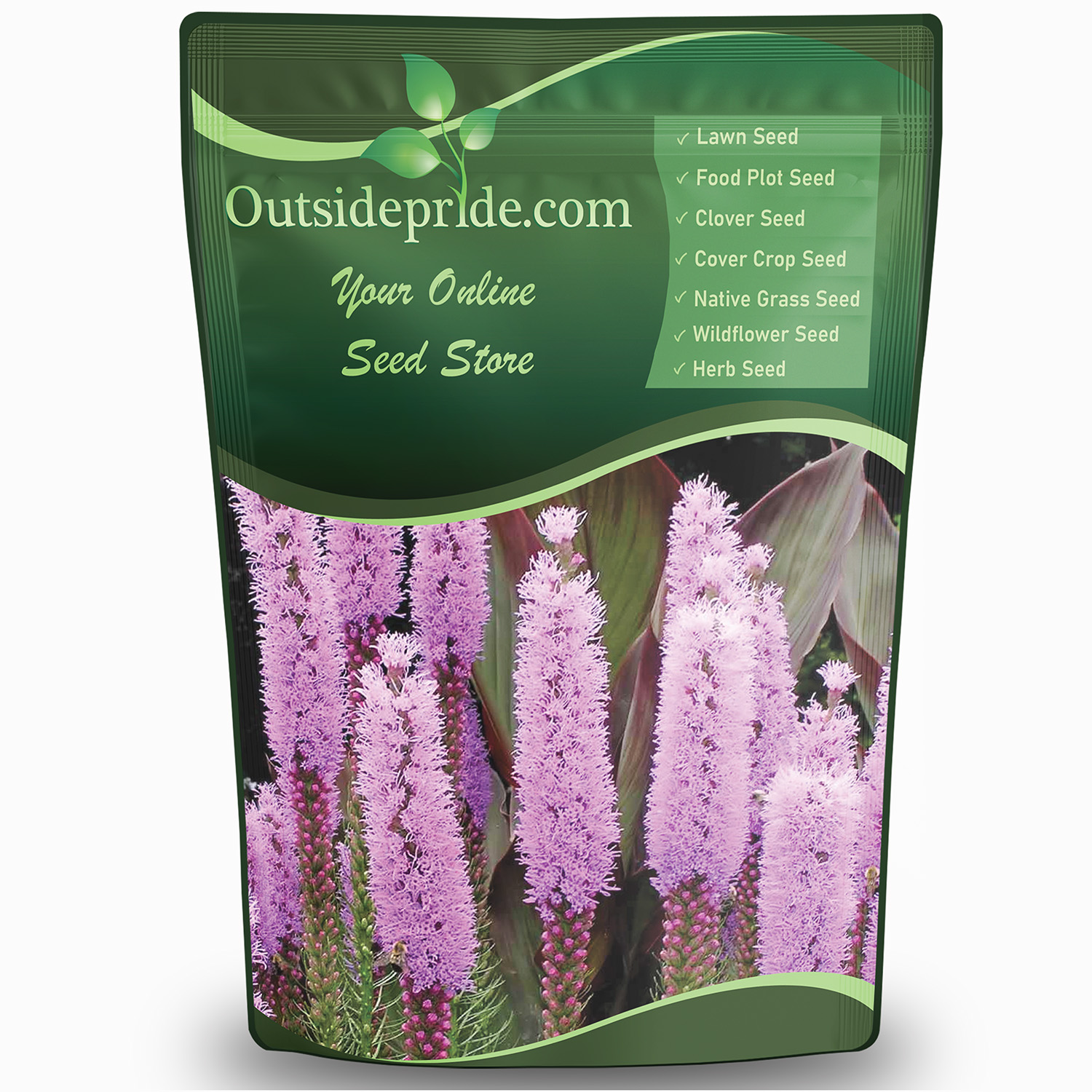 Gayfeather Wildflowers