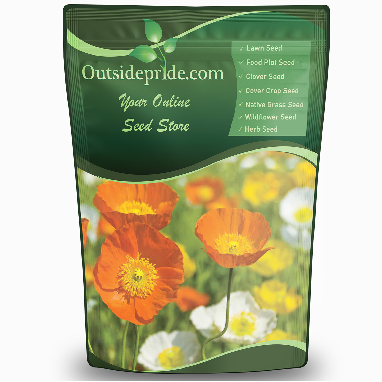Iceland Poppy Wildflowers