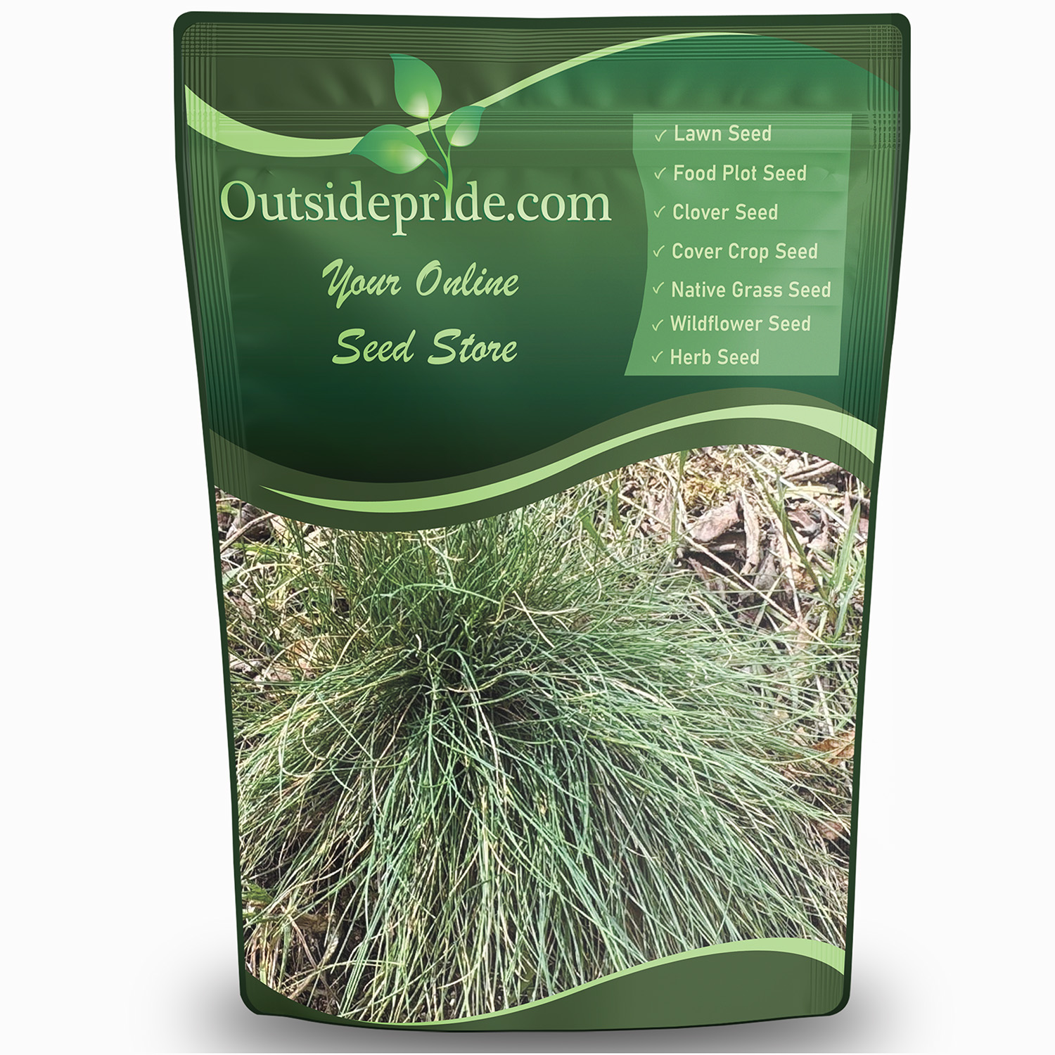 Idaho Fescue For Bulk Seeds