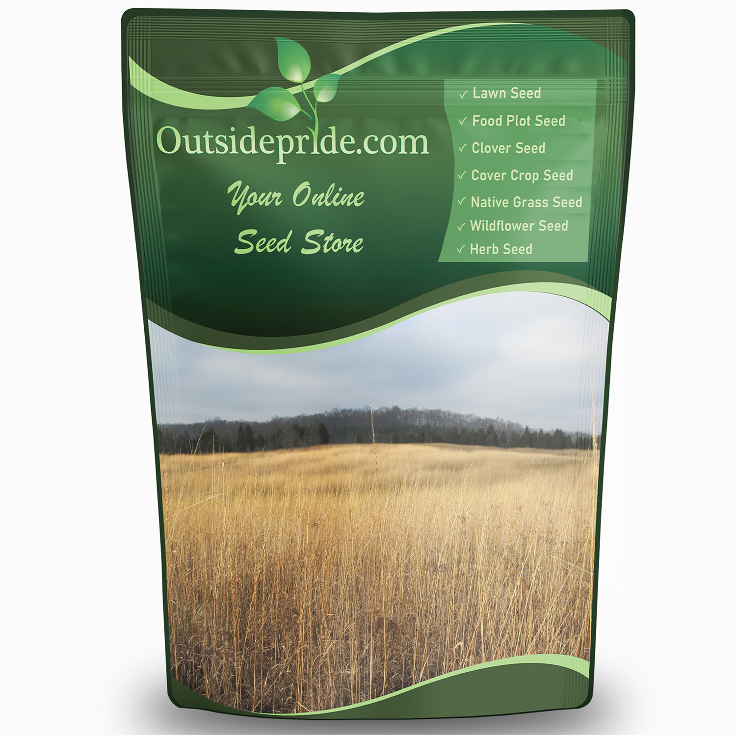 Indian Native Grass